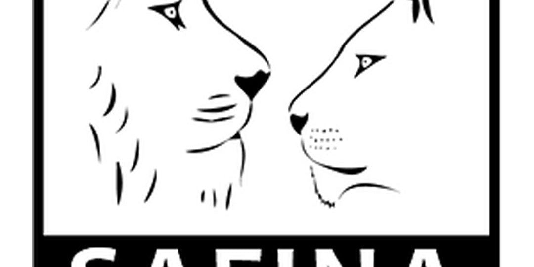 Supporting the Safina Lion Conservation Fund through Fahari, the leaping lion painting