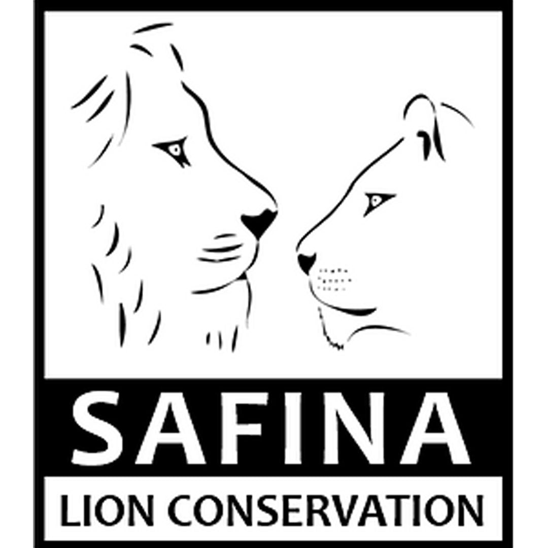 Supporting the Safina Lion Conservation Fund through Fahari, the leaping lion painting