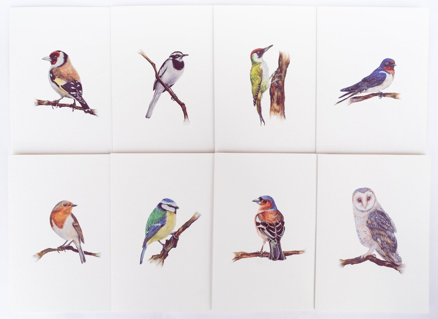 British Garden Birds | Set of 8 Fine Art Greeting Cards