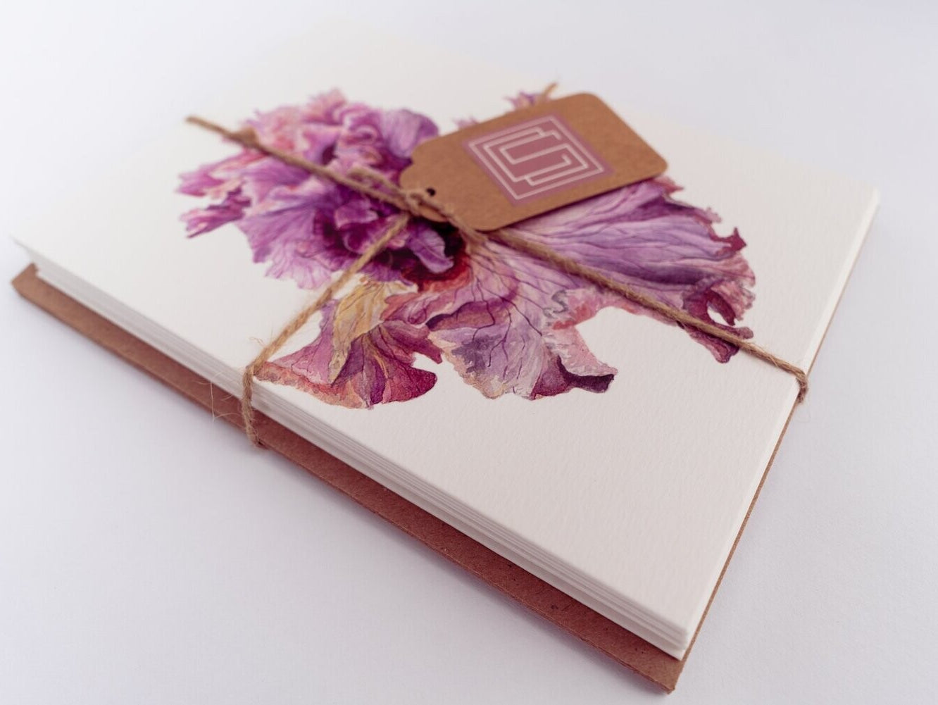 Botanical Beauty | Set of 8 Fine Art Greeting Cards