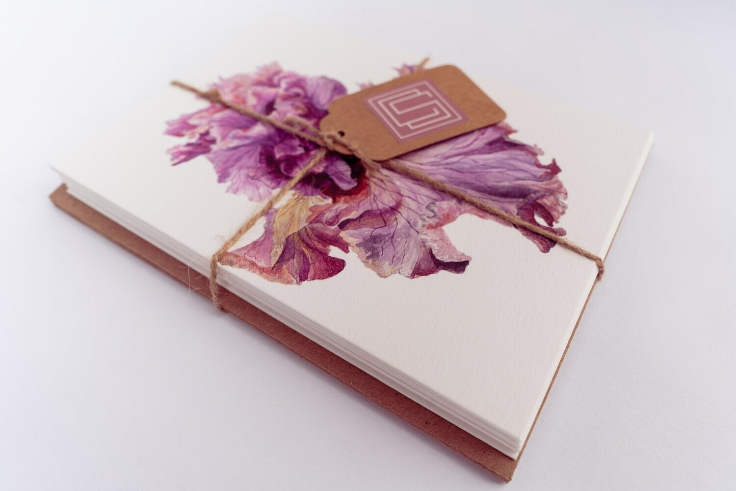 Botanical Beauty | Set of 8 Fine Art Greeting Cards