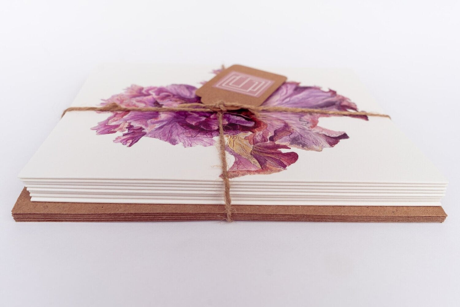 Botanical Beauty | Set of 8 Fine Art Greeting Cards