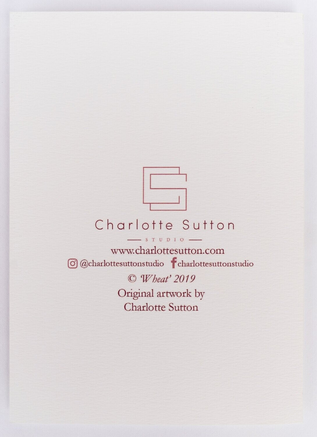 Botanical Beauty | Set of 8 Fine Art Greeting Cards