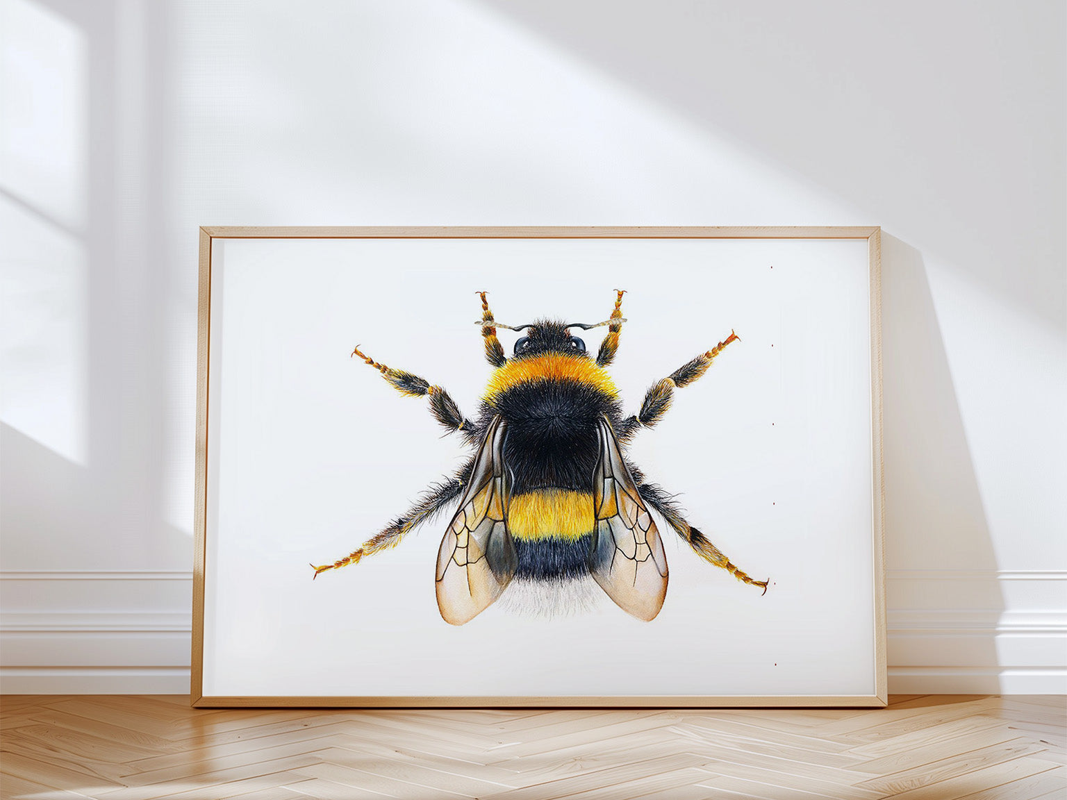 Queen Bumblebee, Limited Edition Fine Art Print