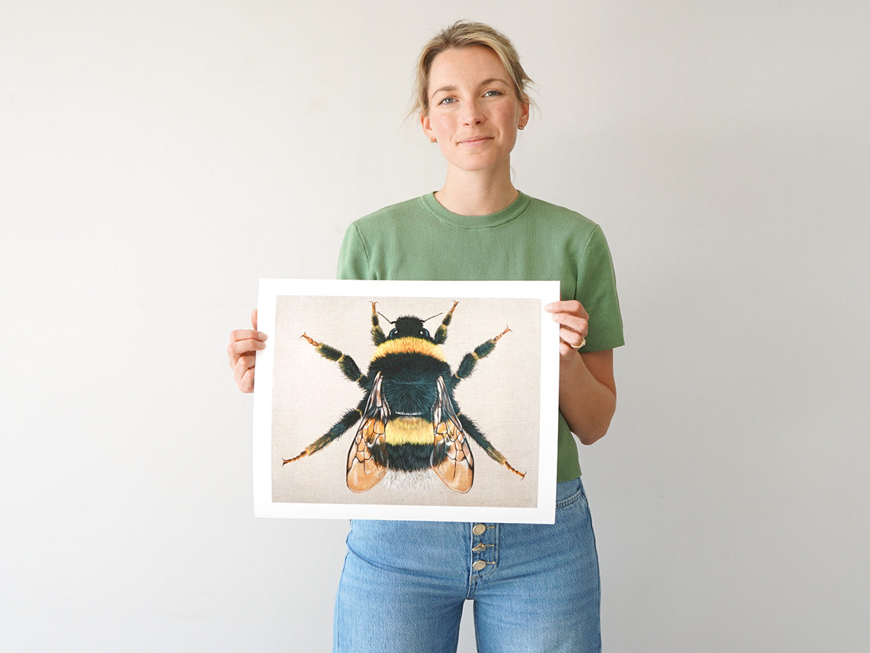 Bumble Bee, Limited Edition Fine Art Print