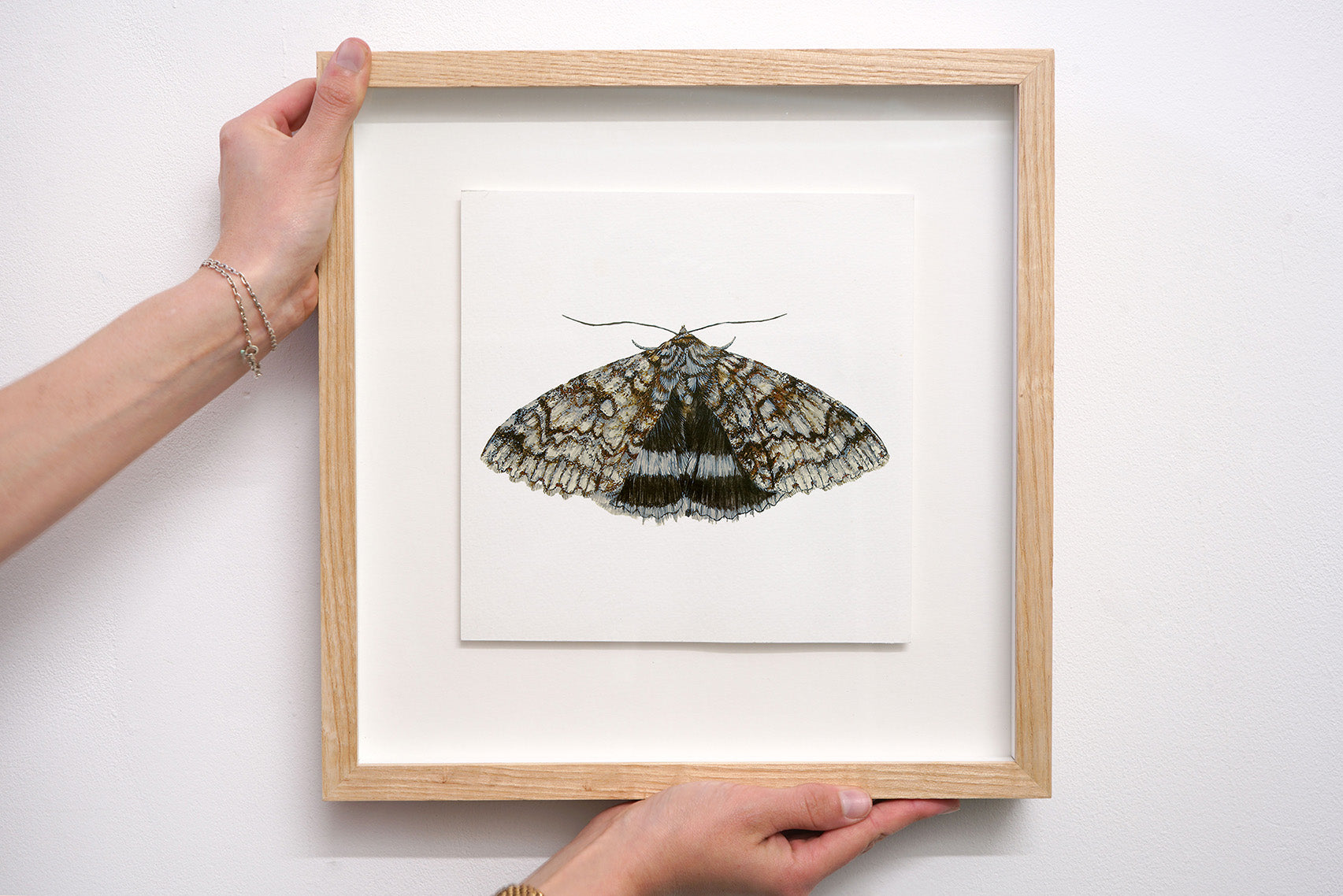 Blue Underwing Moth, Original Watercolour Painting