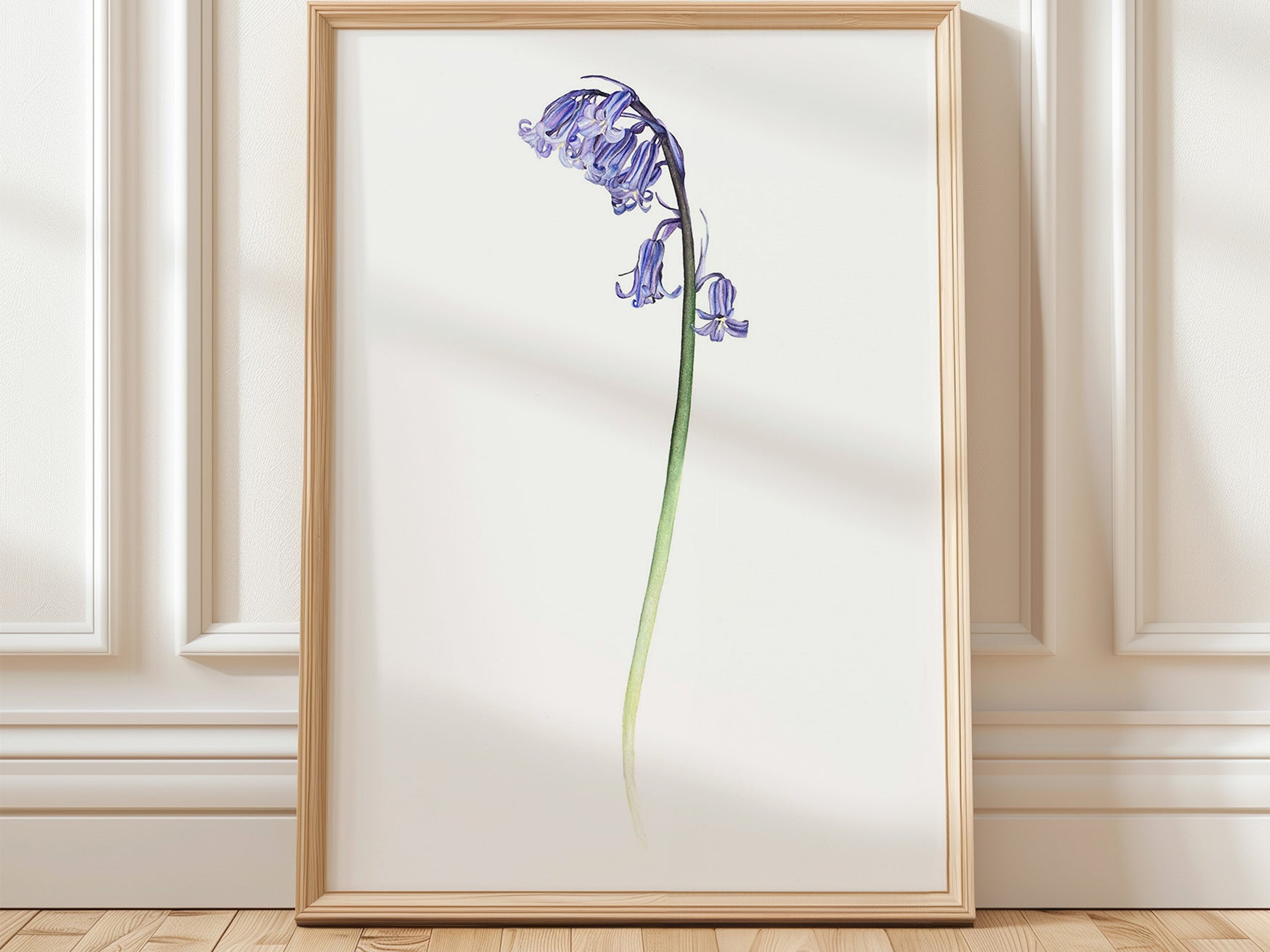 Bluebell, Limited Edition Fine Art Print