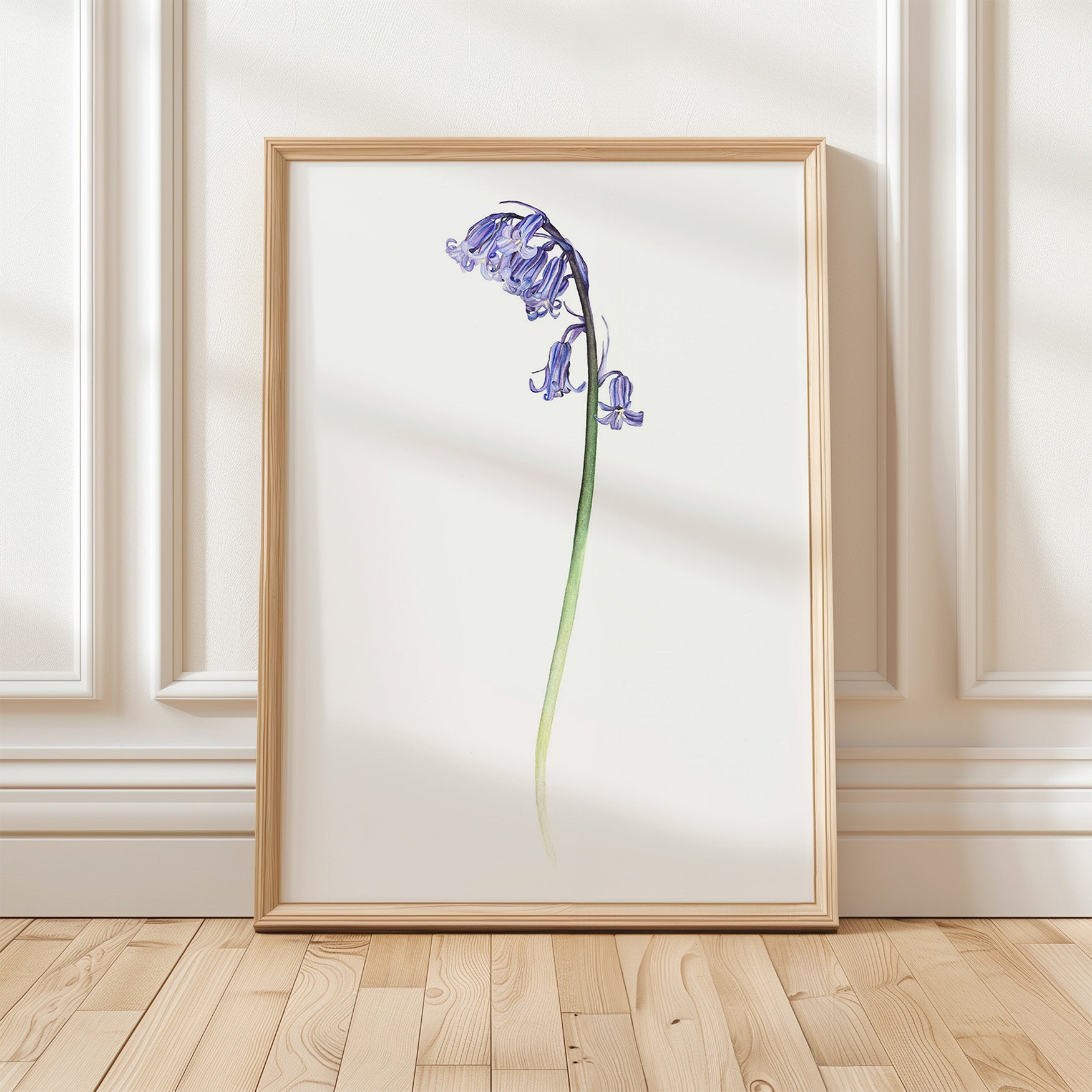 Bluebell, Limited Edition Fine Art Print
