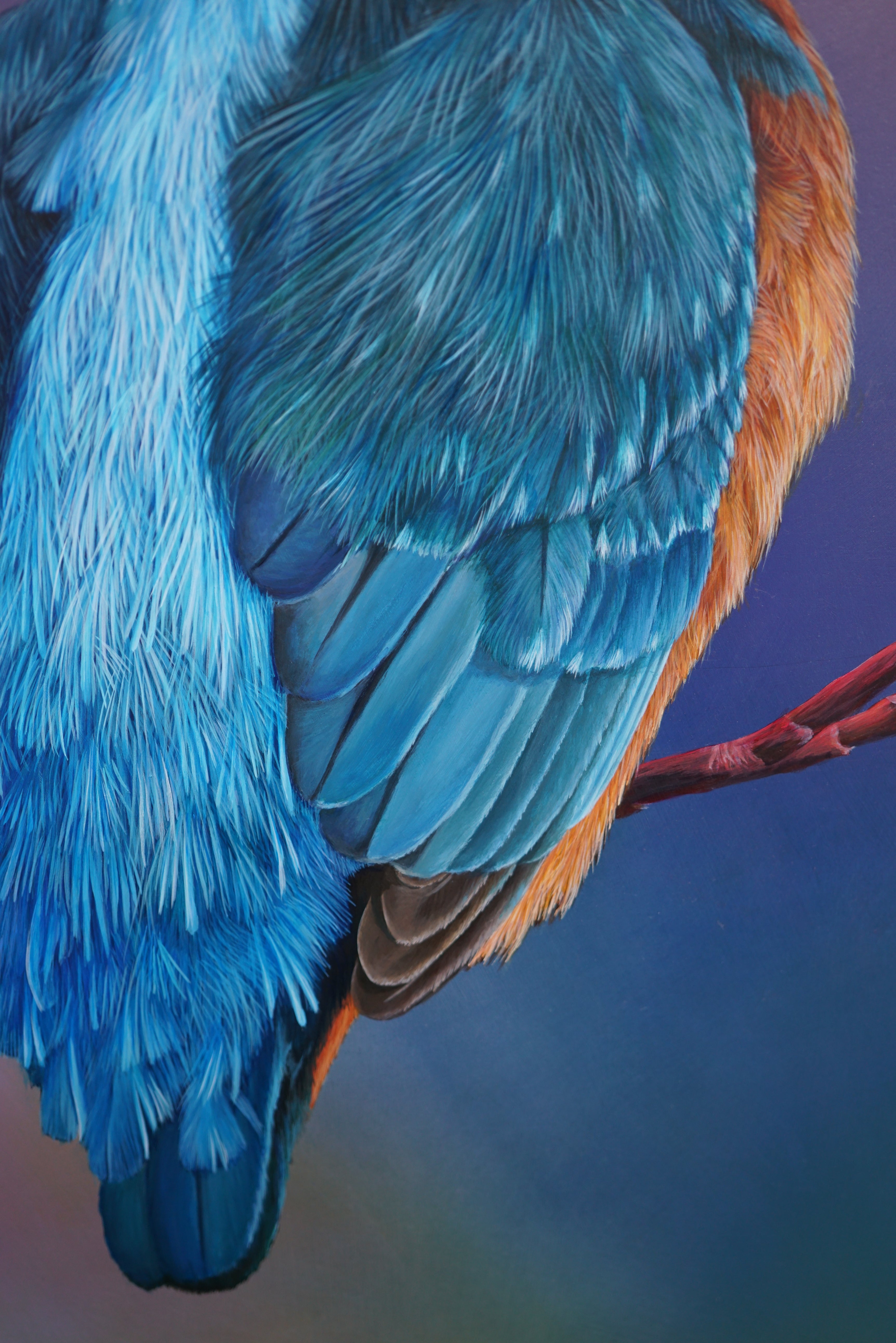 Dusk Kingfisher, Original Kingfisher Painting