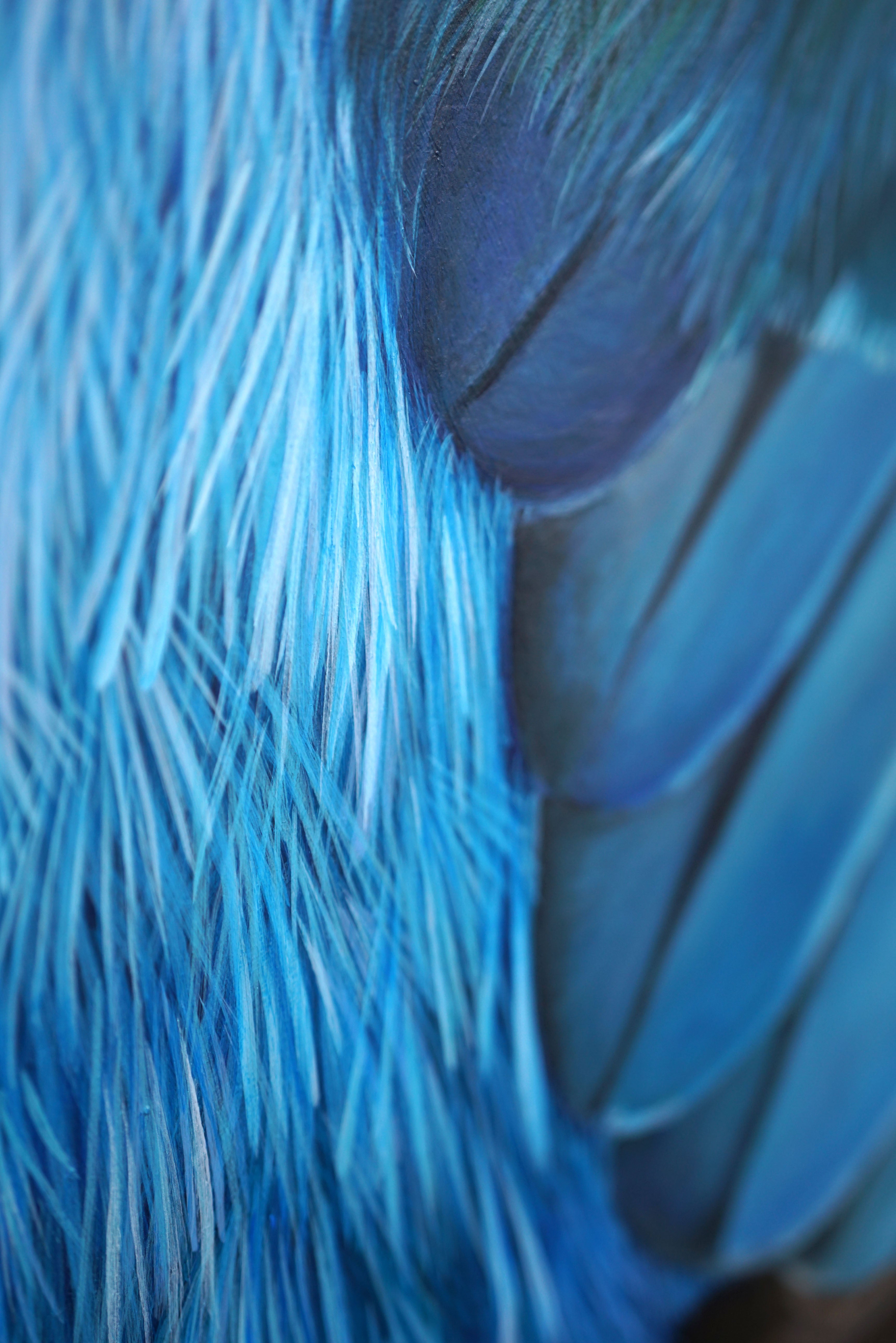 Dusk Kingfisher, Original Kingfisher Painting