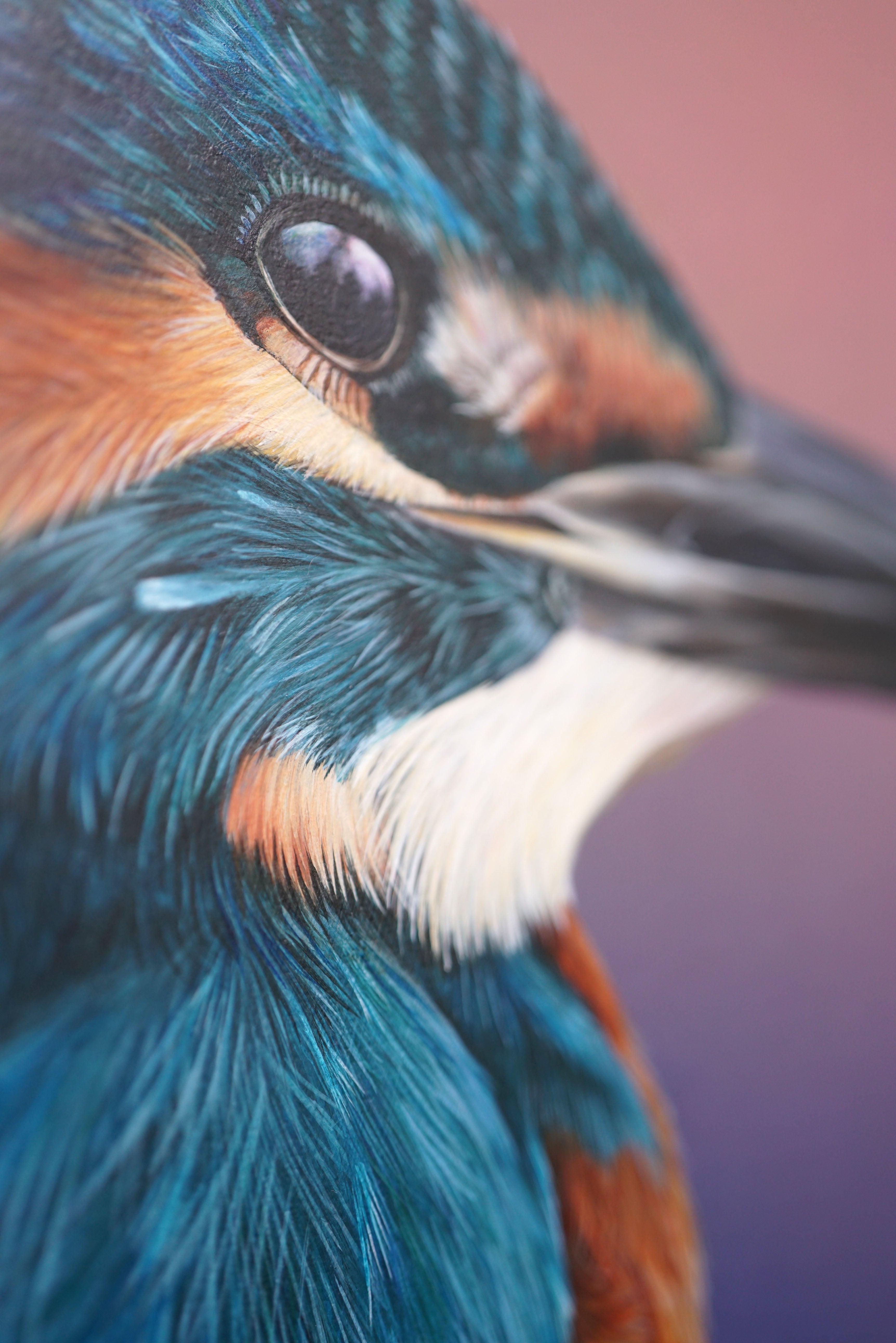 Dusk Kingfisher, Original Kingfisher Painting