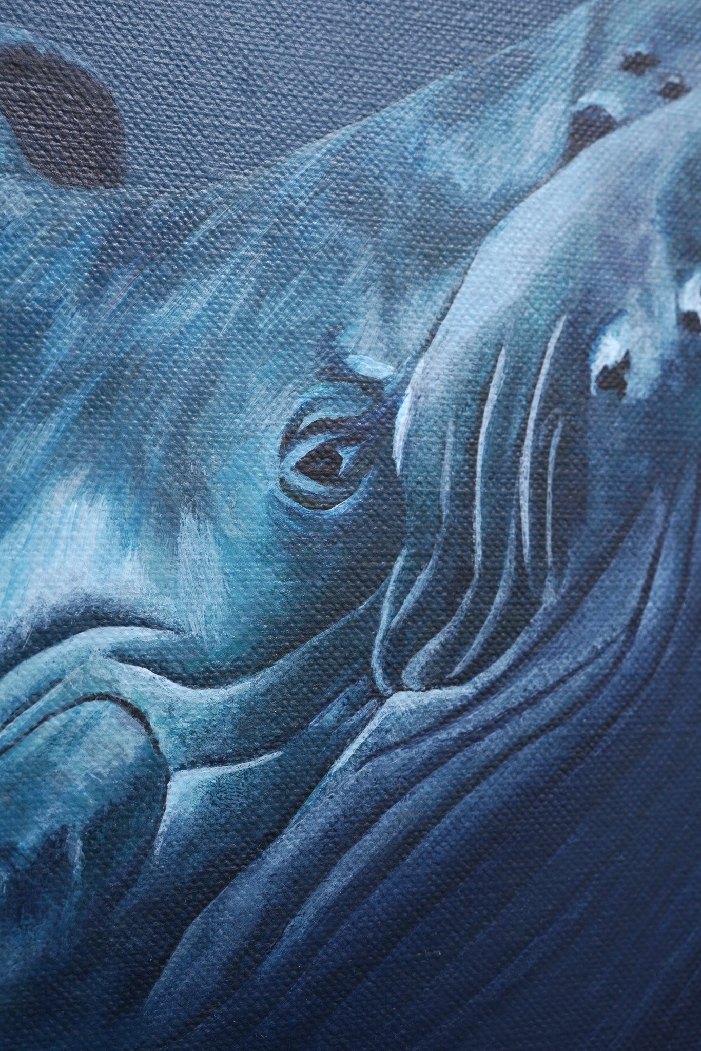 Curiosity, Original Whale Painting, Humpback Calf