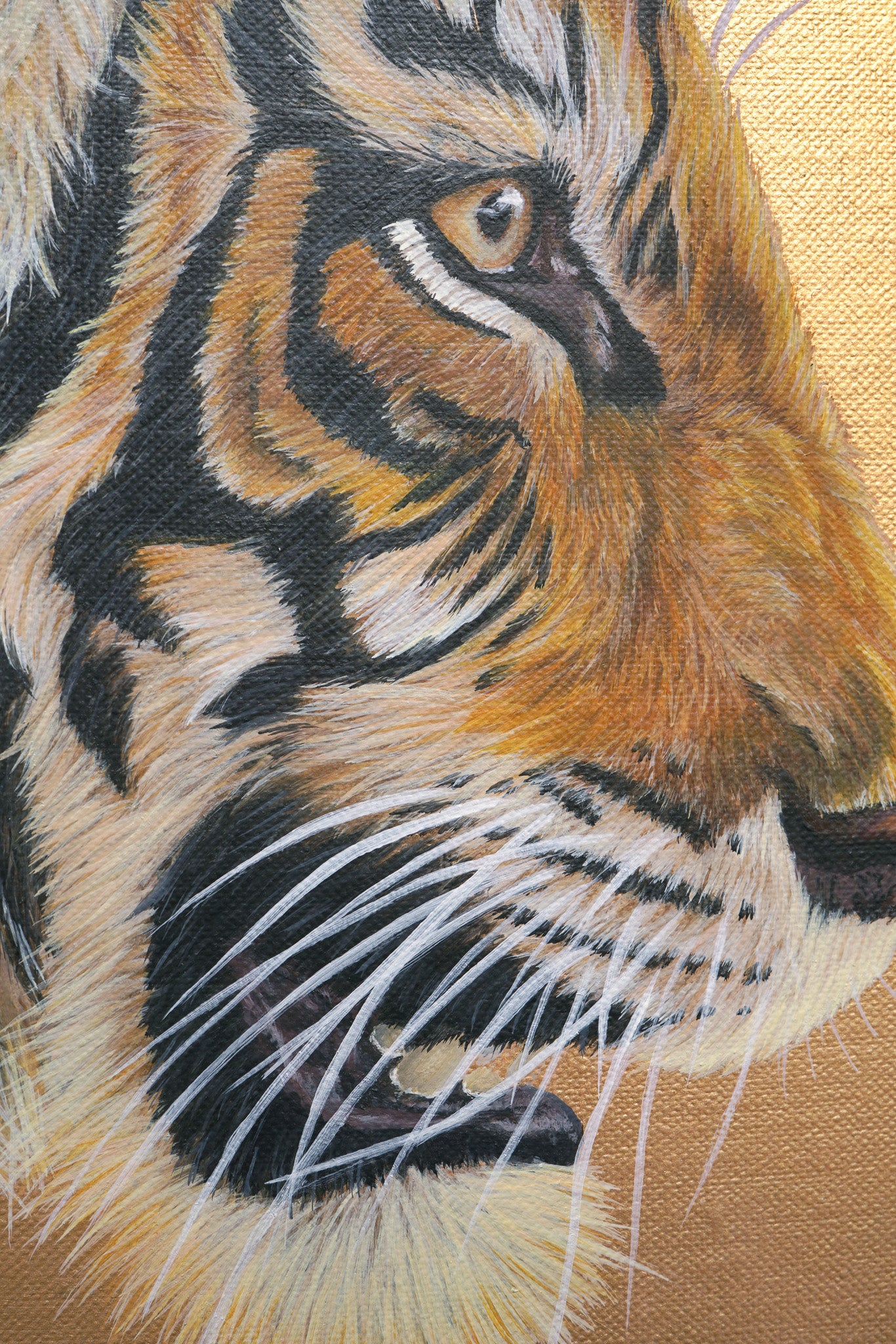 Golden Hour, Limited Edition Tiger Print