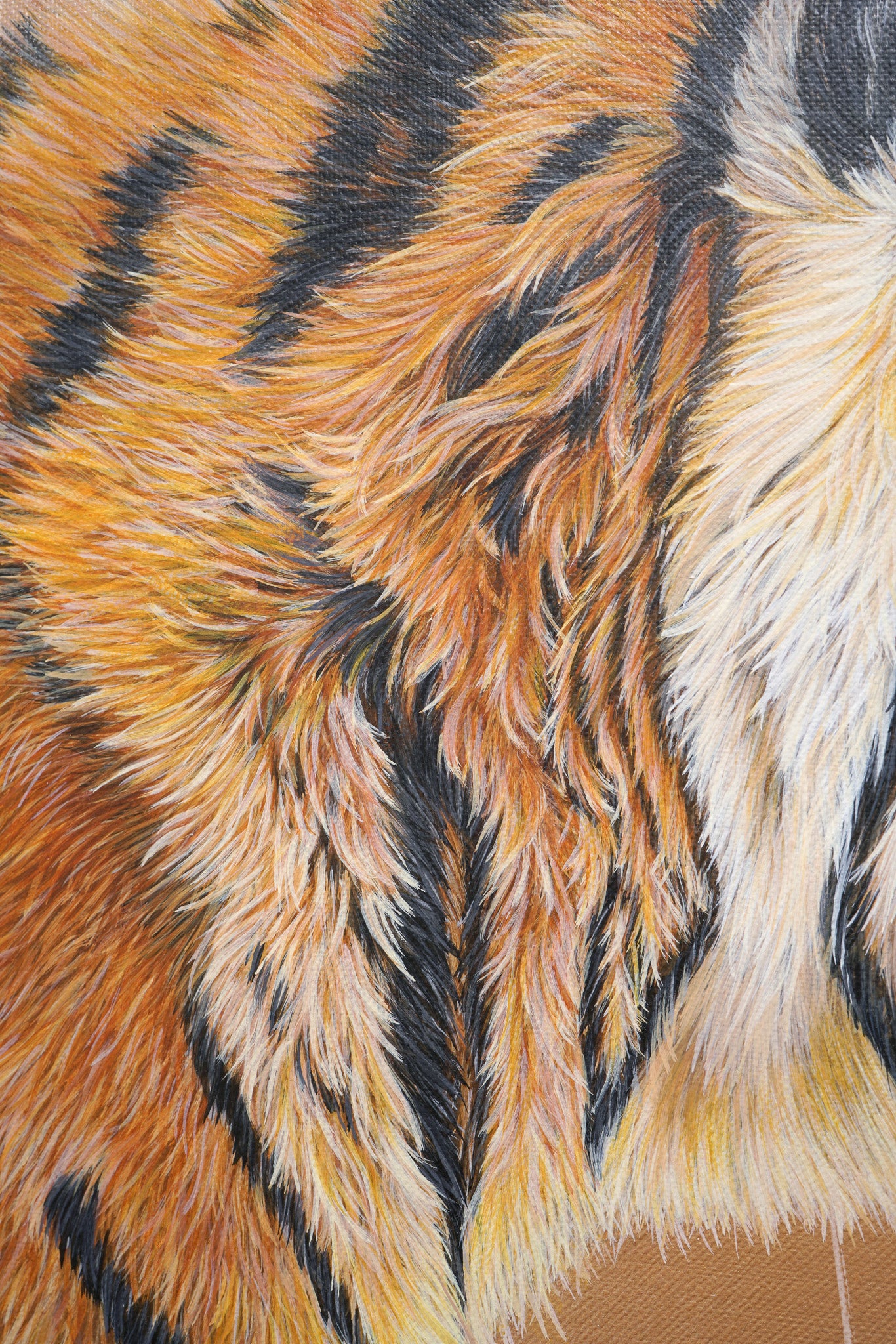 Golden Hour, Limited Edition Tiger Print