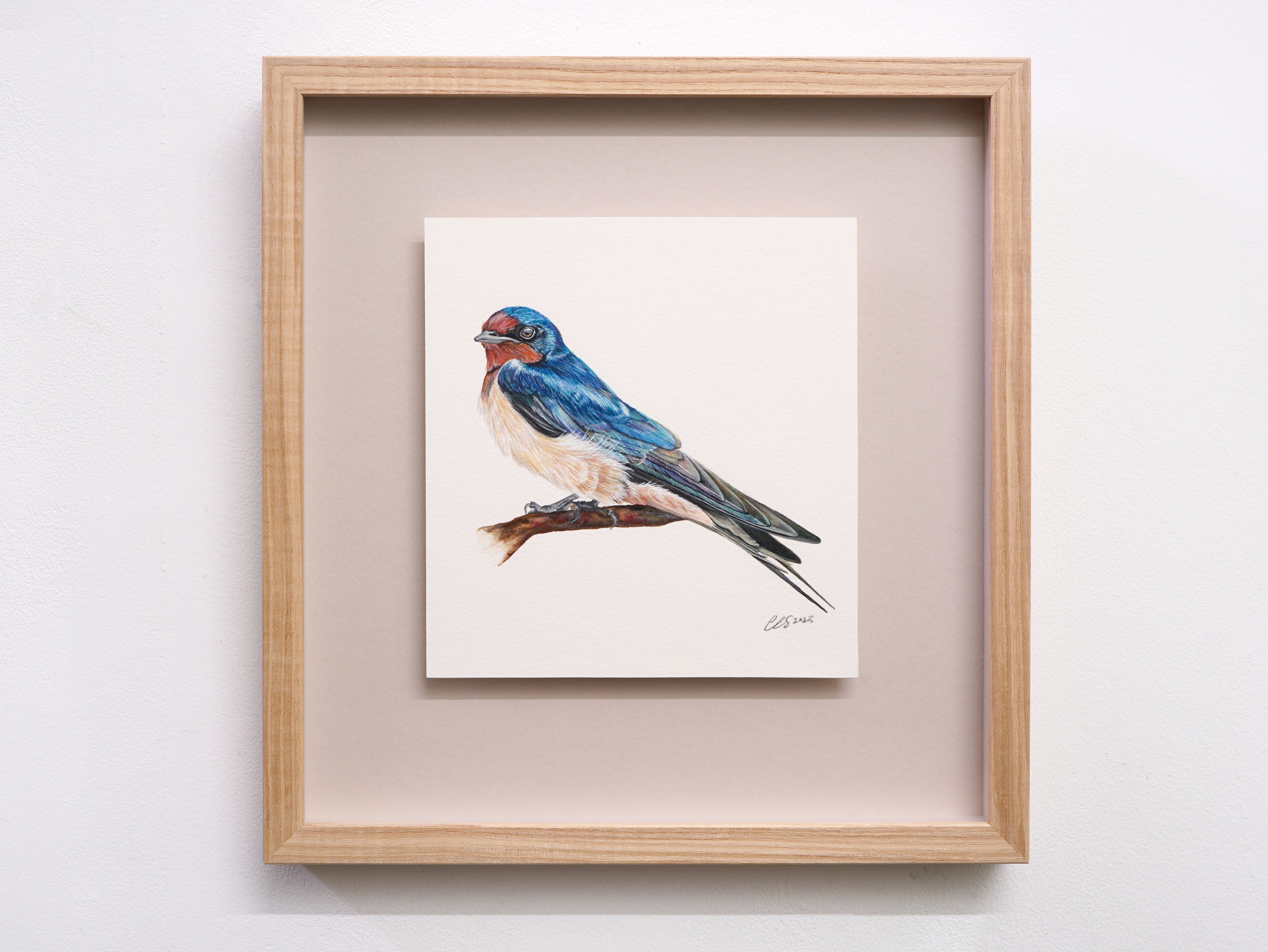 Barn Swallow, Original Watercolour Painting
