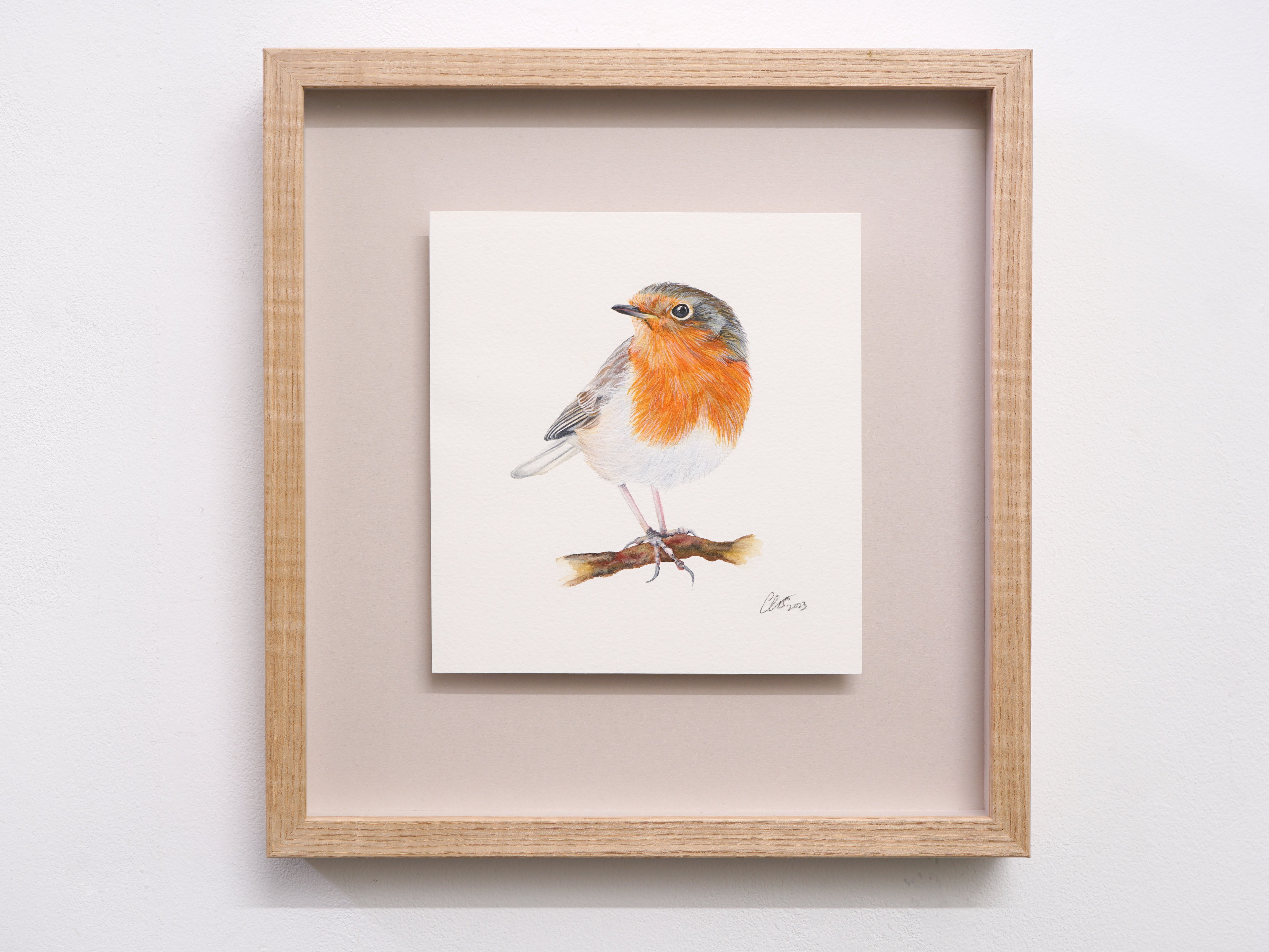 Robin Redbreast, Original Watercolour Painting