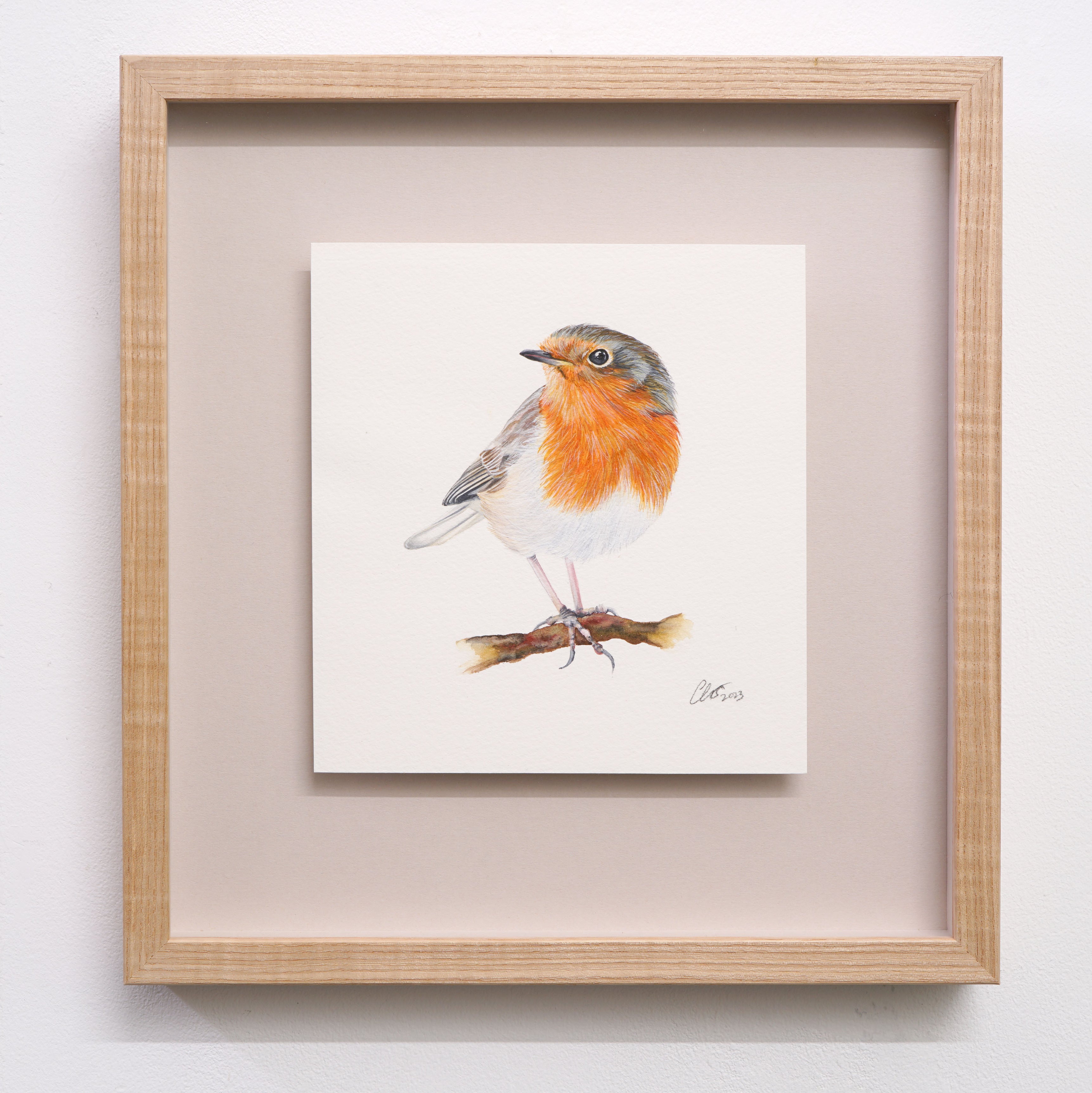 Robin Redbreast, Original Watercolour Painting
