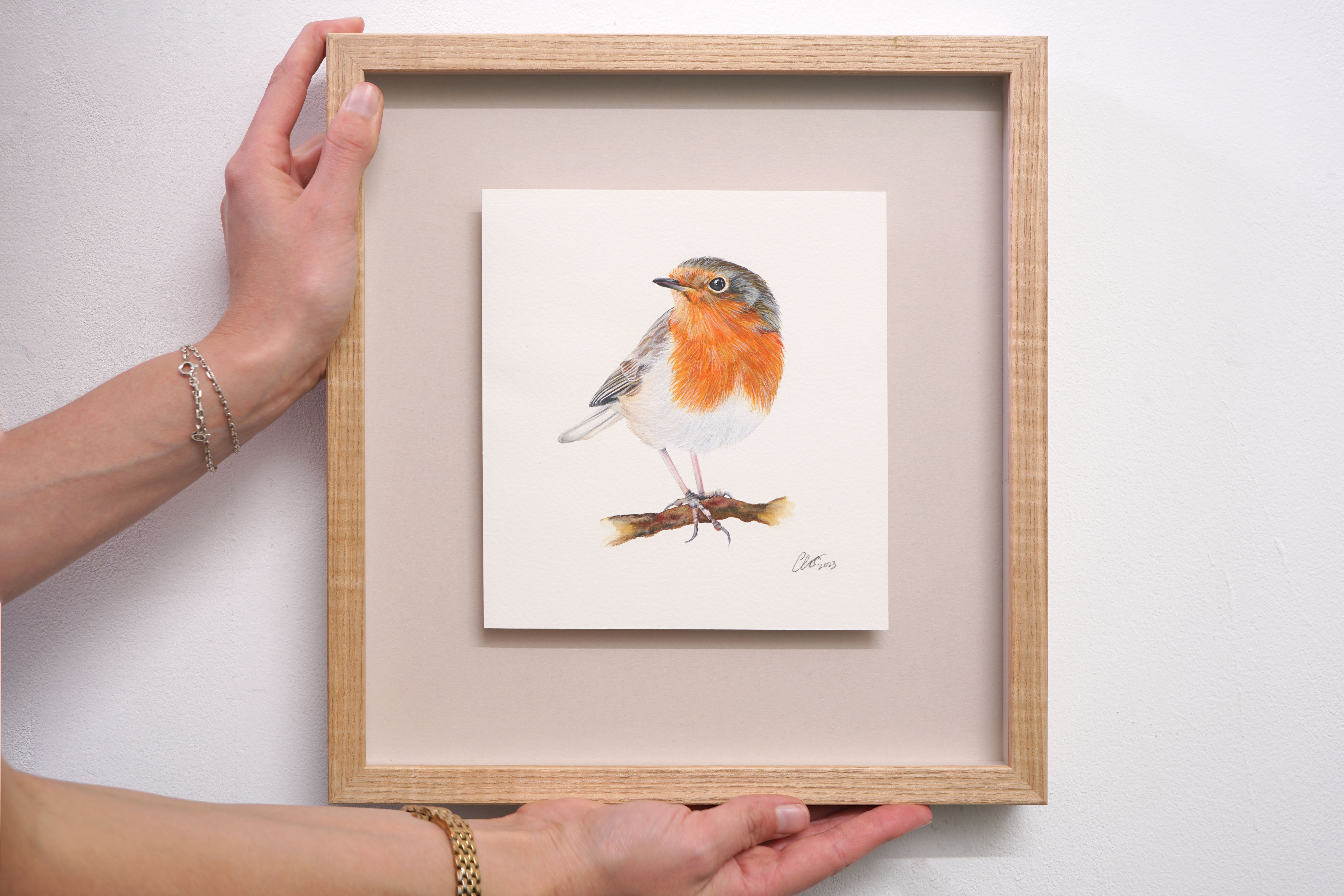 Robin Redbreast, Original Watercolour Painting