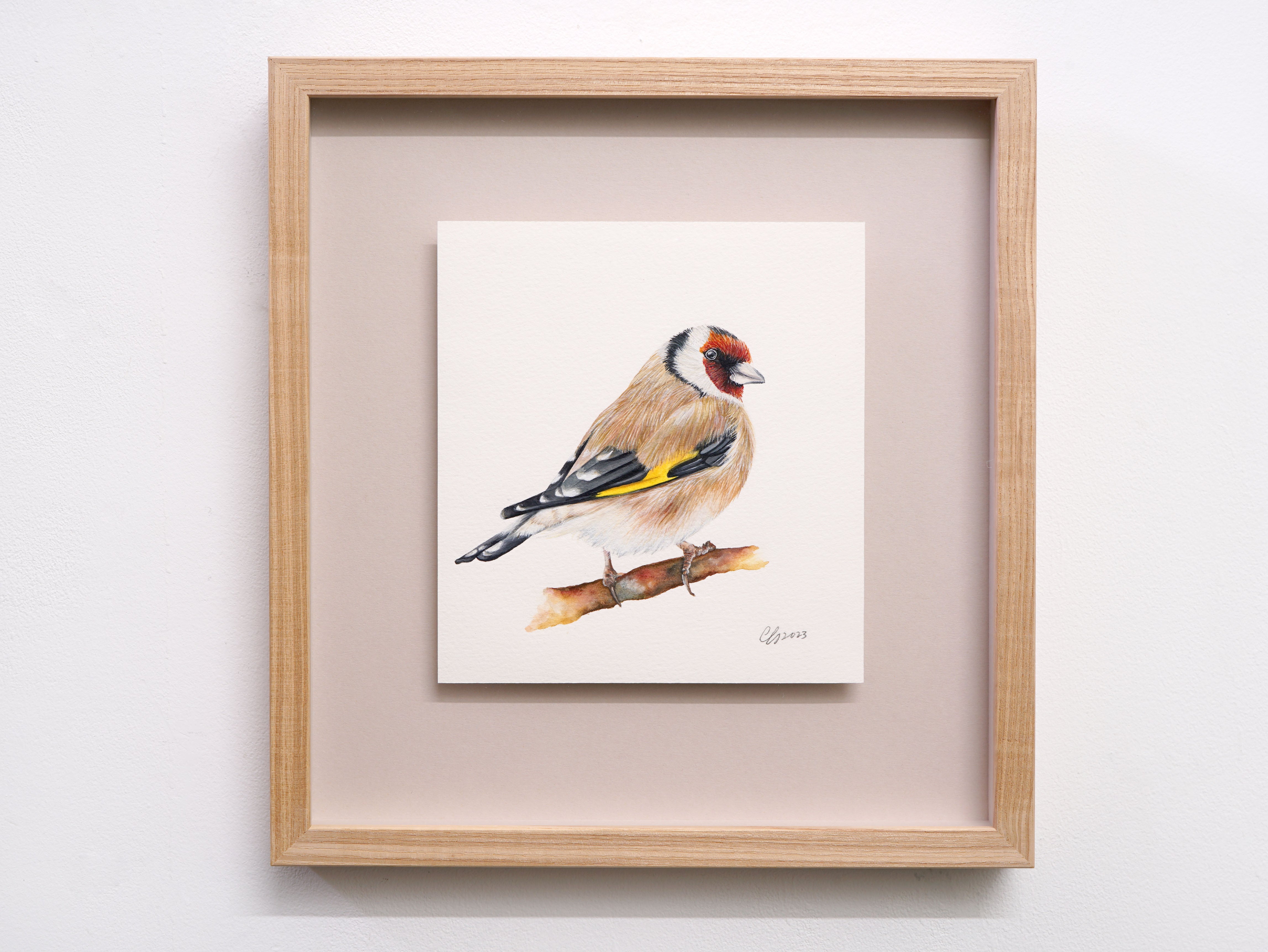 Goldfinch, Original Watercolour Painting