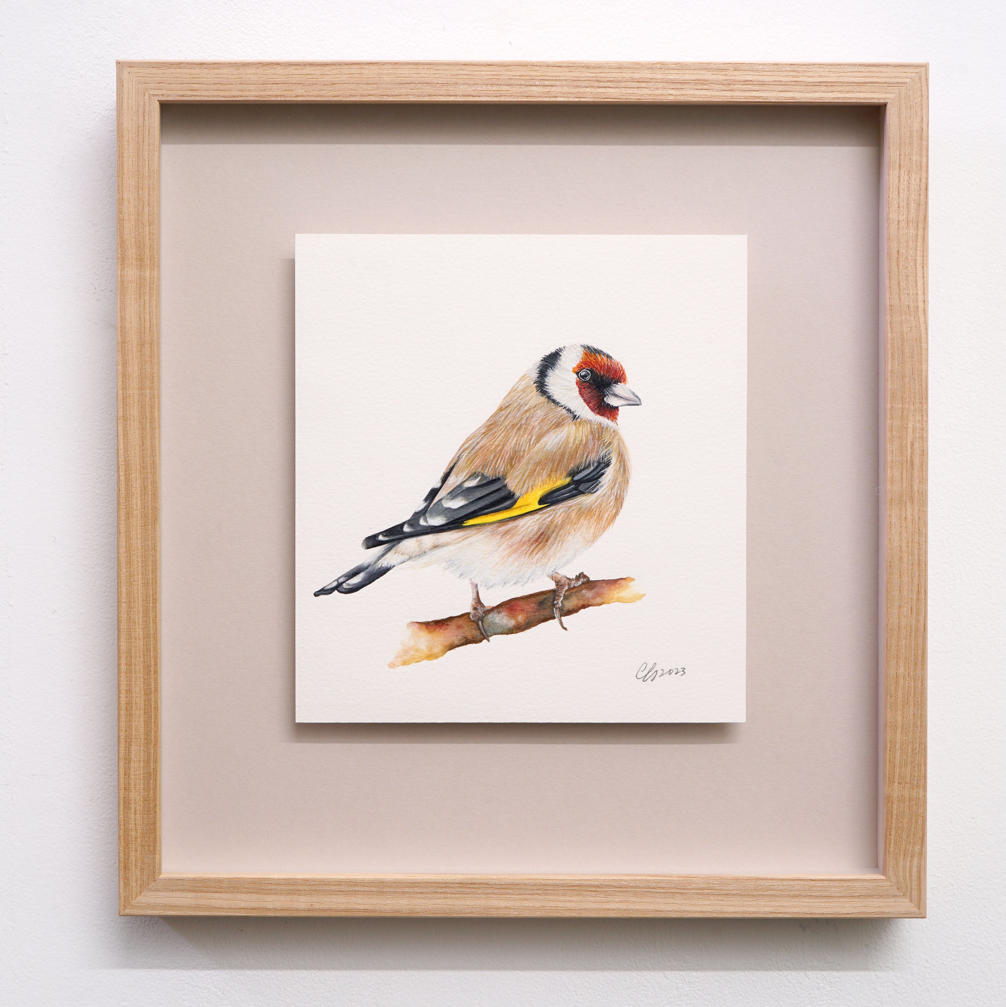 Goldfinch, Original Watercolour Painting