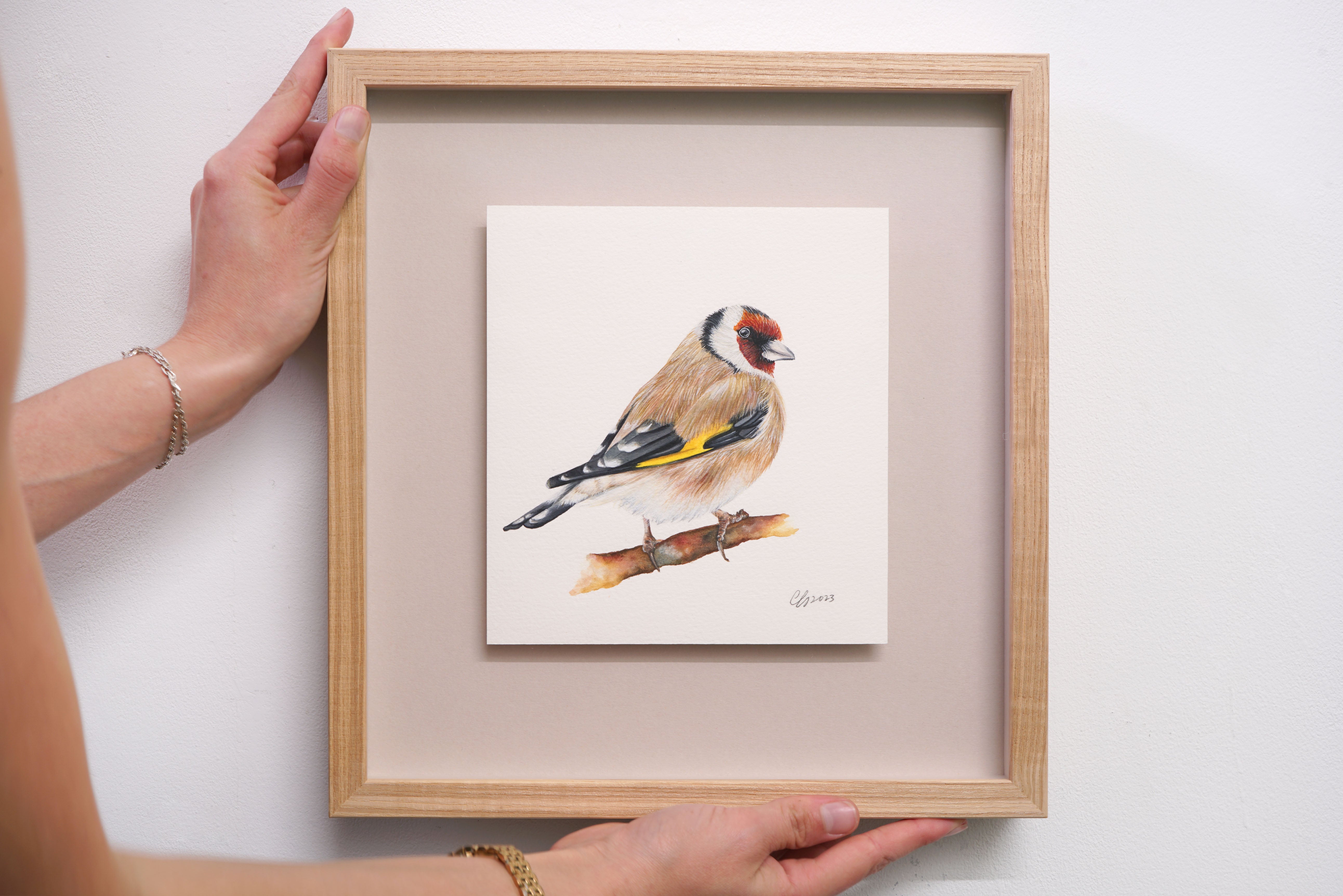 Goldfinch, Original Watercolour Painting