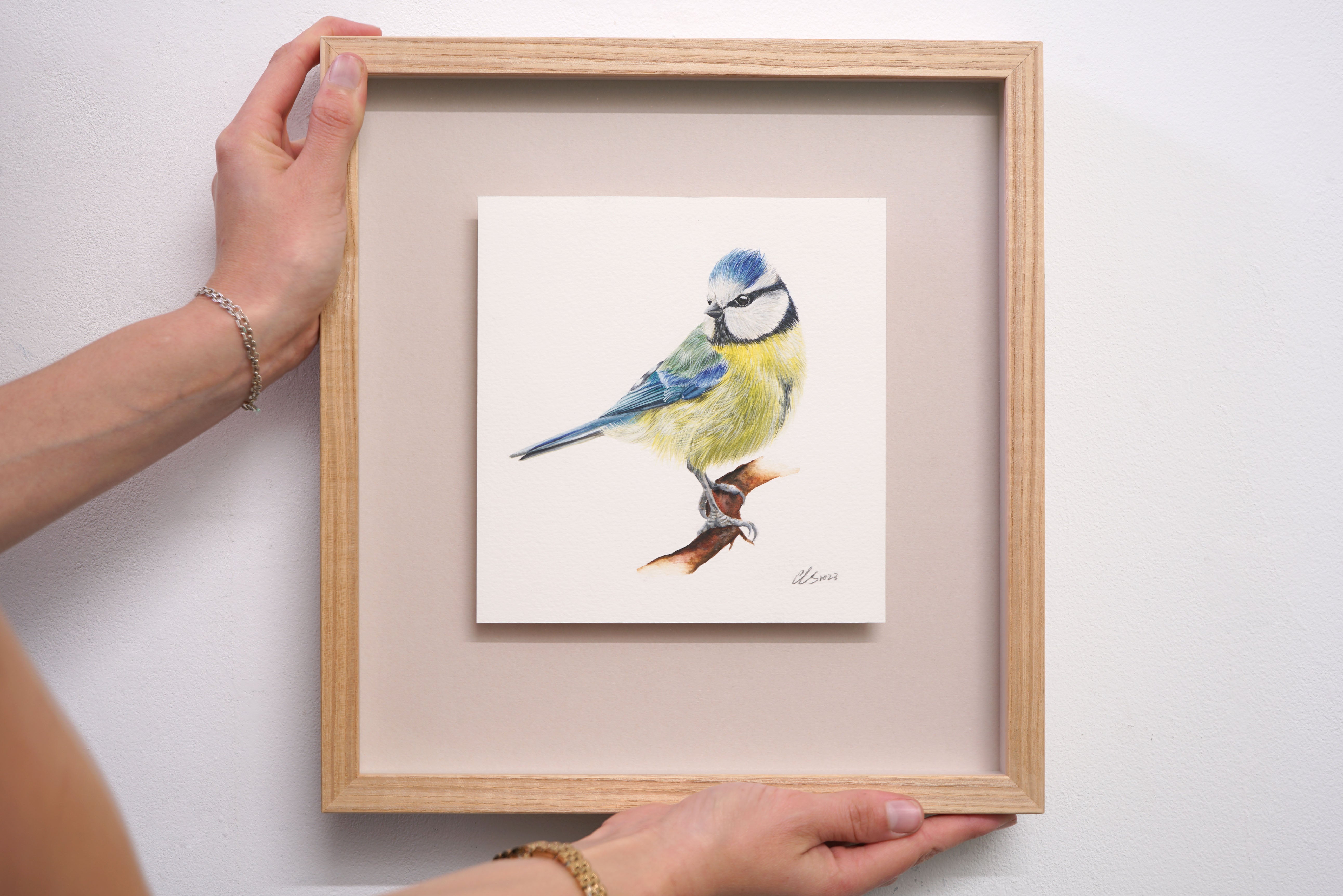 Blue Tit, Original Watercolour Painting