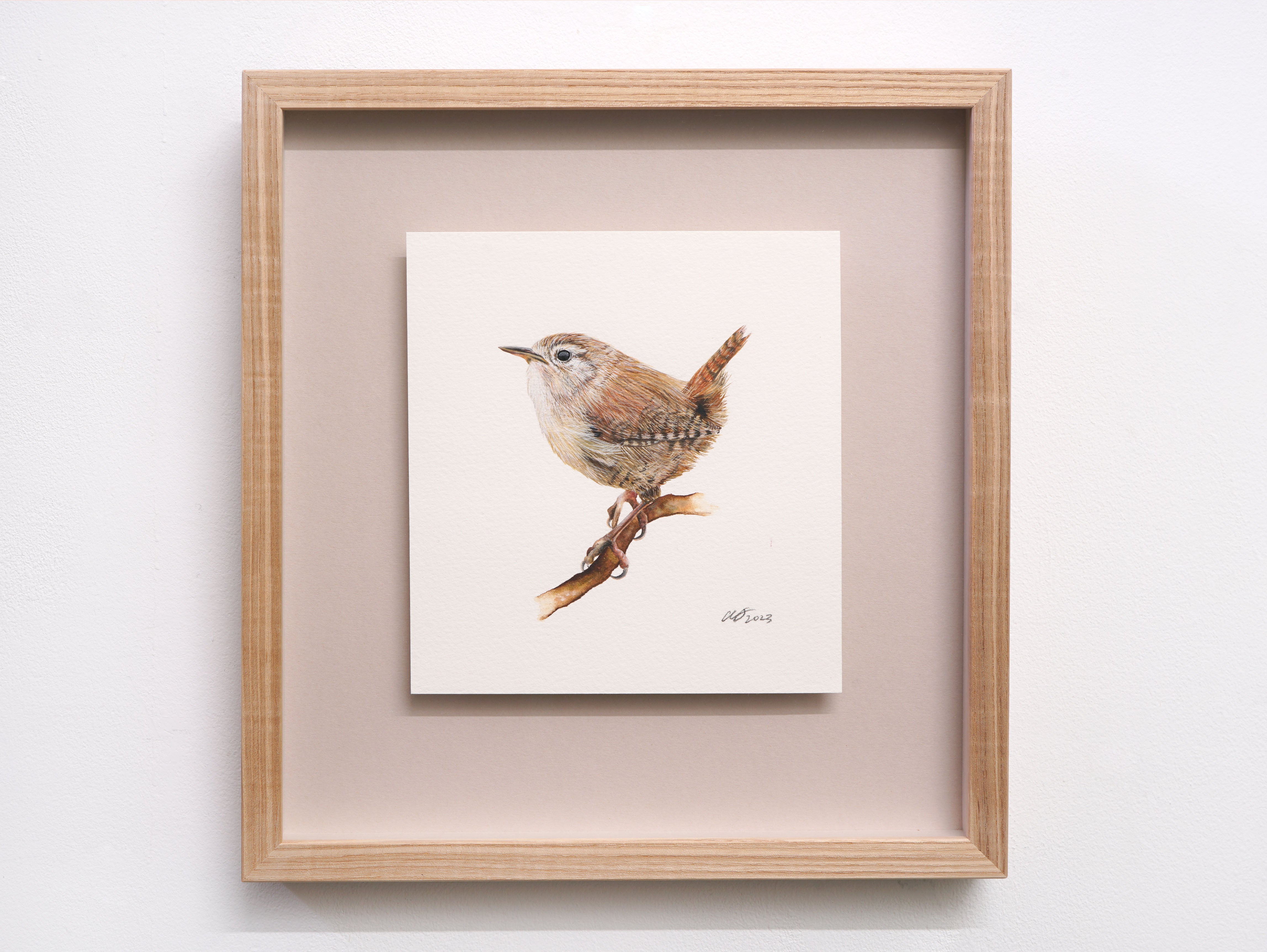 Jenny Wren, Original Watercolour Painting