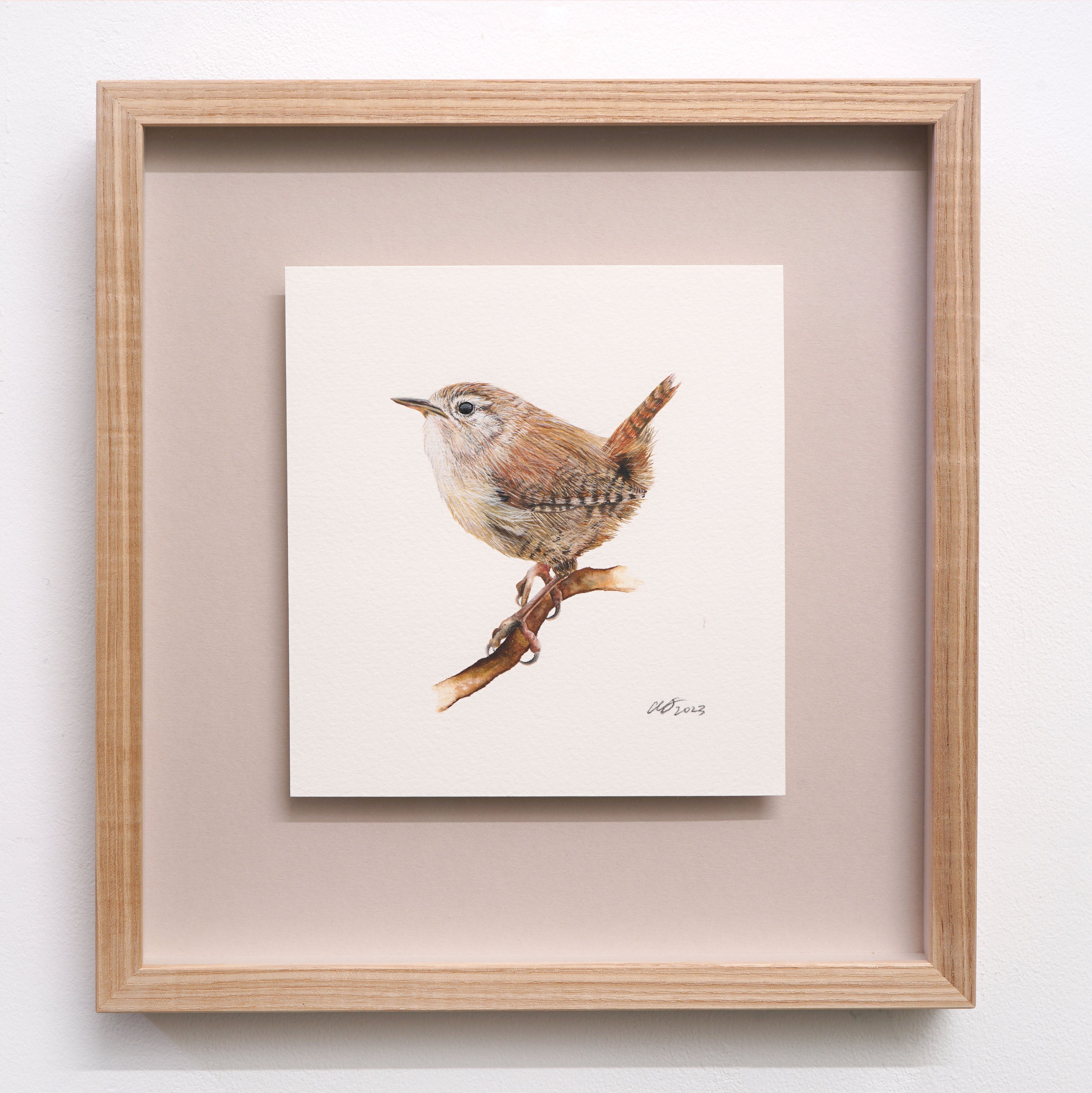 Jenny Wren, Original Watercolour Painting