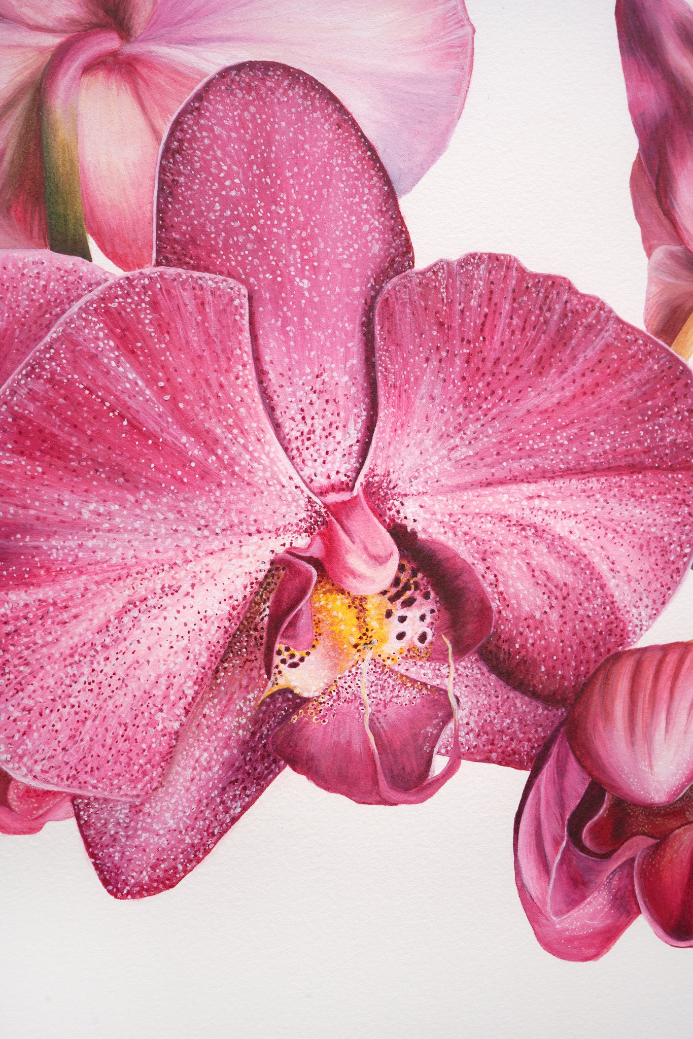 Orchid, Original Watercolour Painting