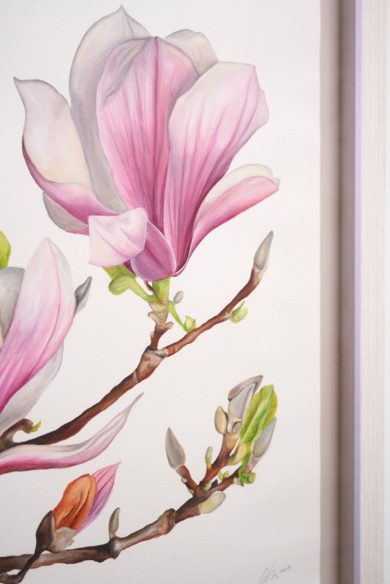 Magnolia, Original Watercolour Painting