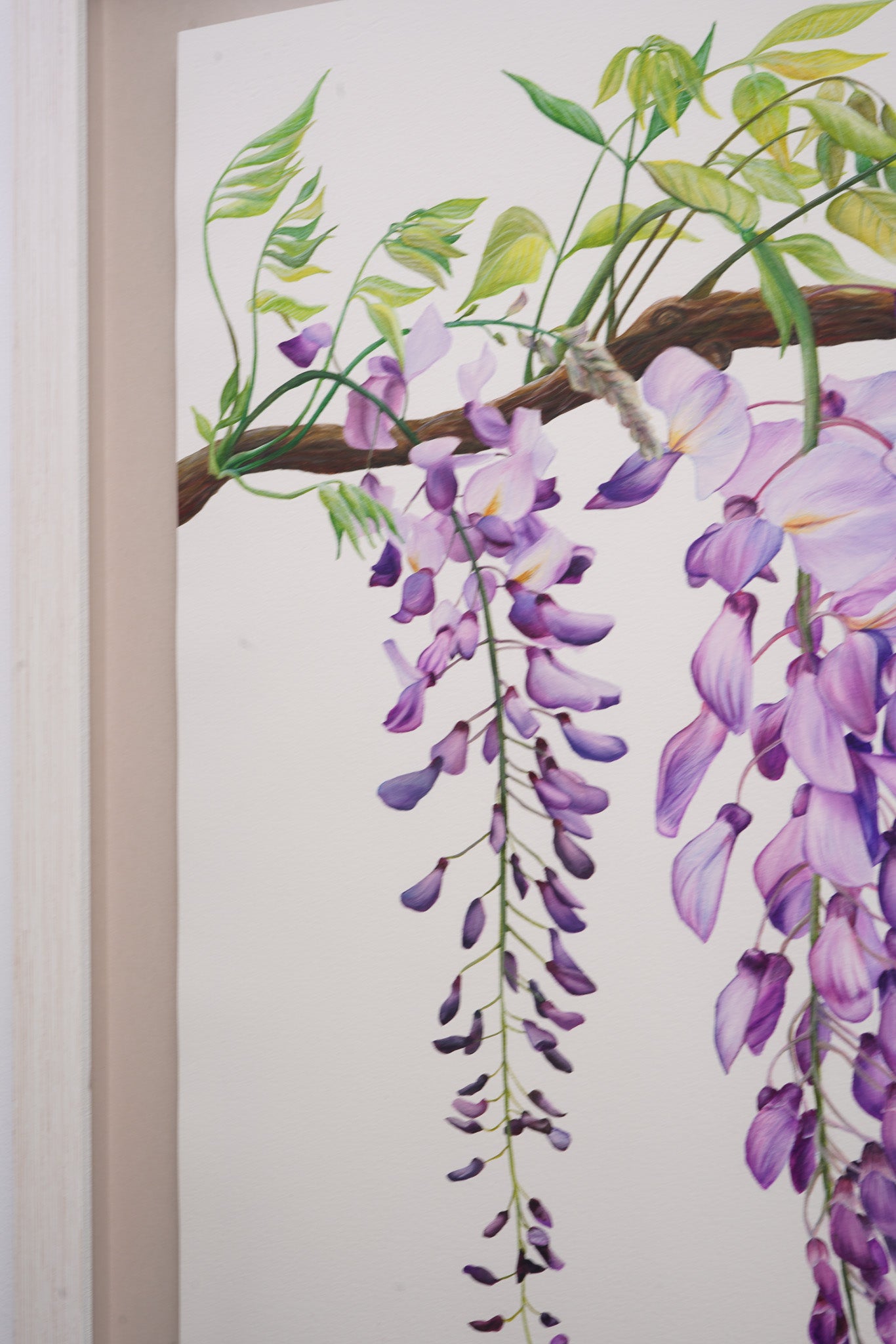Wisteria, Original Watercolour Painting