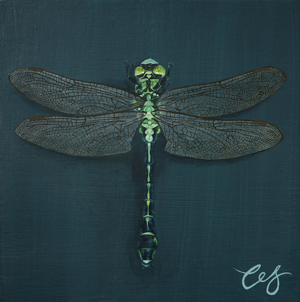 Dragonfly, Original Dragonfly Painting