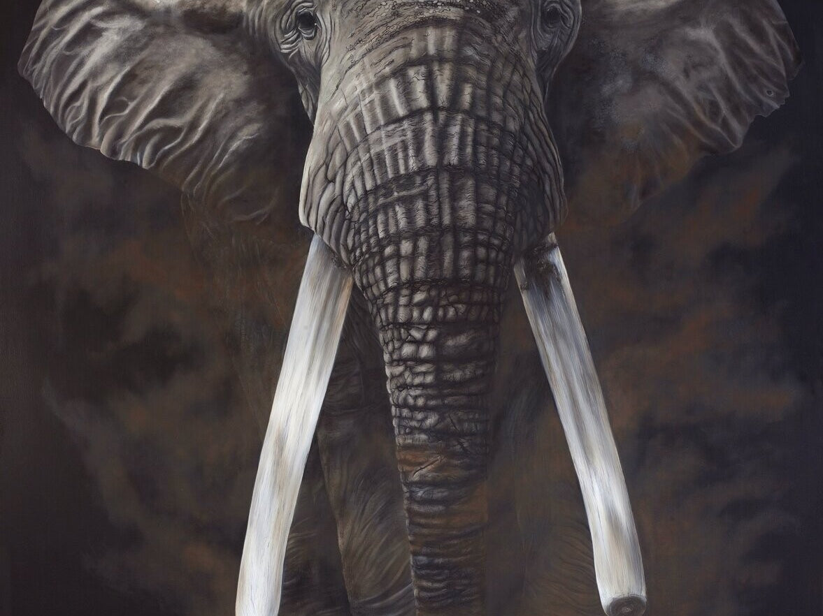 The Grandfather, Original Elephant Painting, African Tusker Elephant