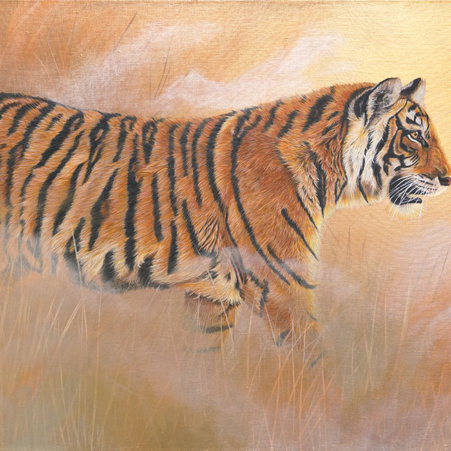 Golden Hour, Original Tiger Painting