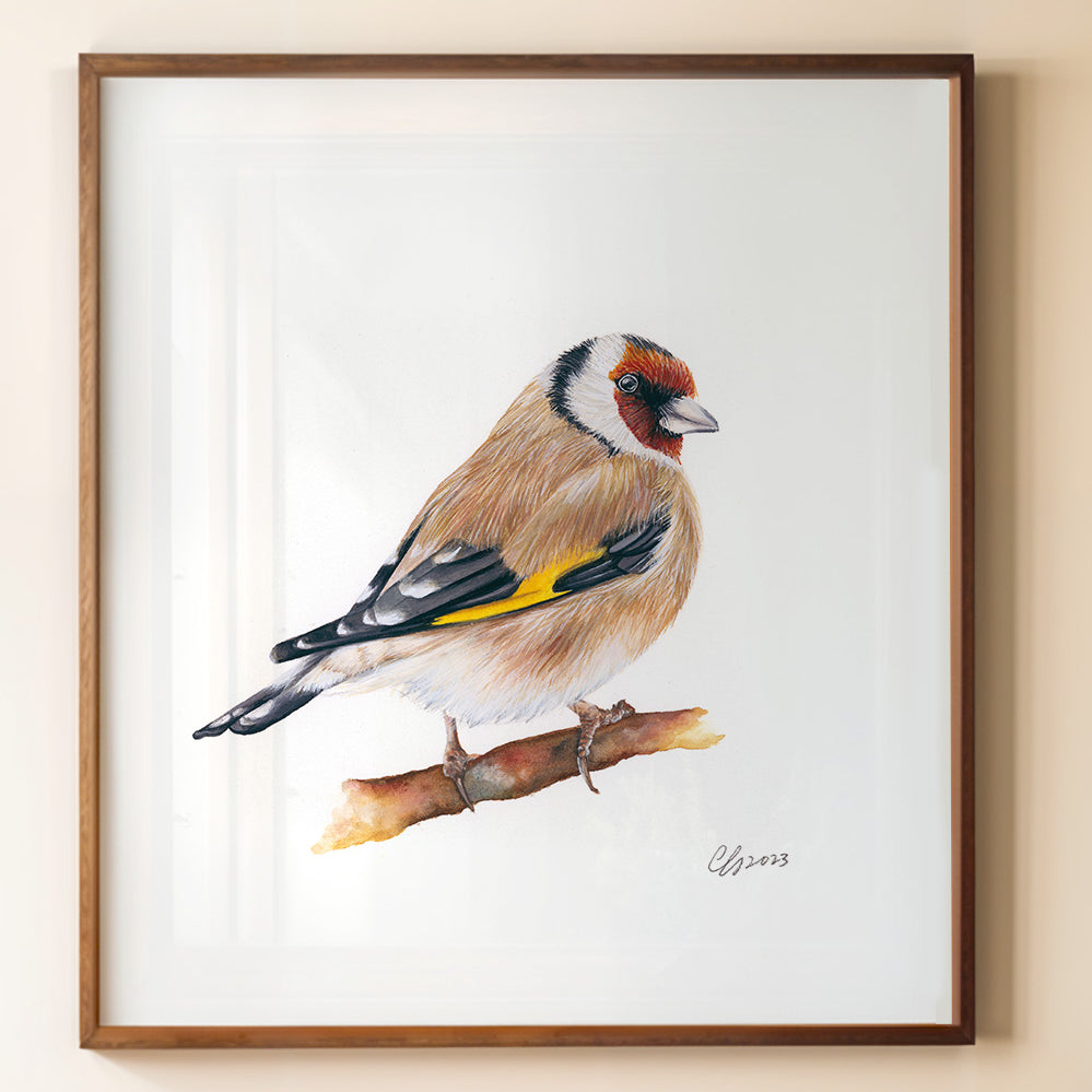 Goldfinch, Fine Art Watercolour Print