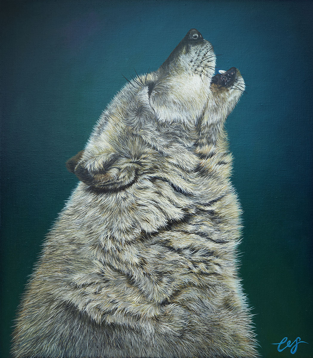 Grey Wolf, Limited Edition Fine Art Print