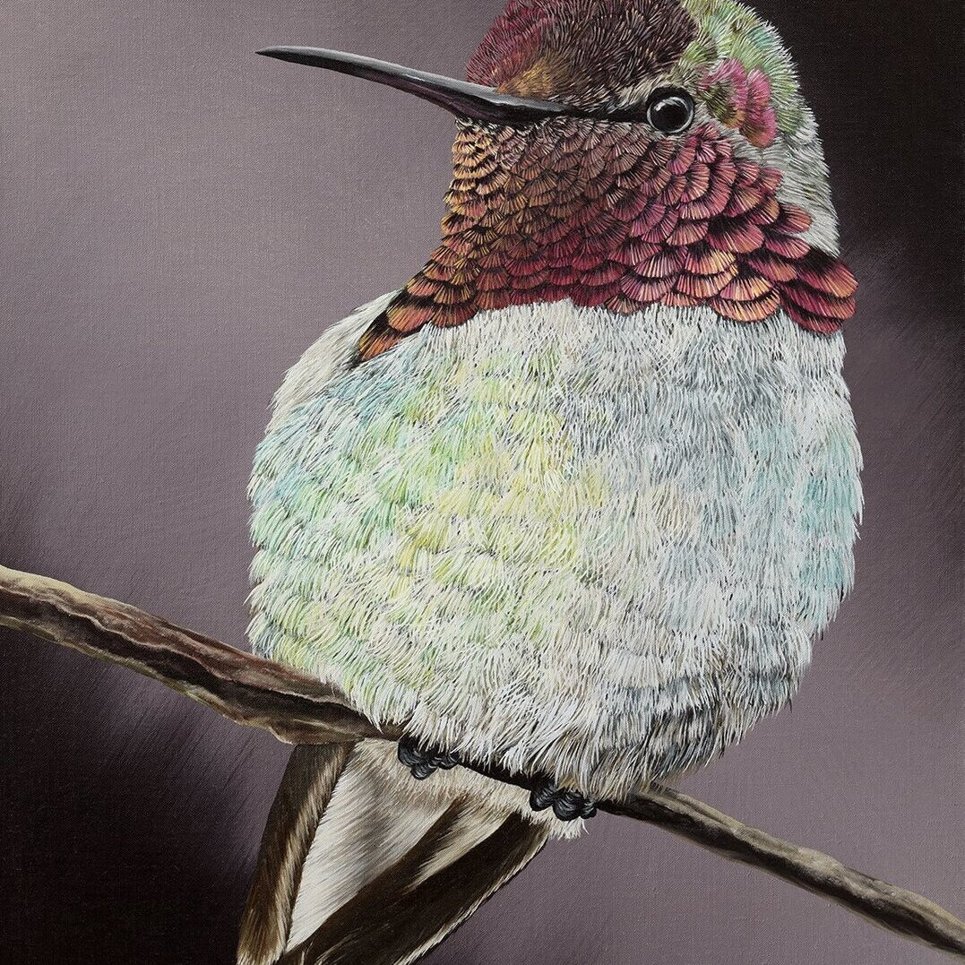 Hummingbird, Original Hummingbird Painting