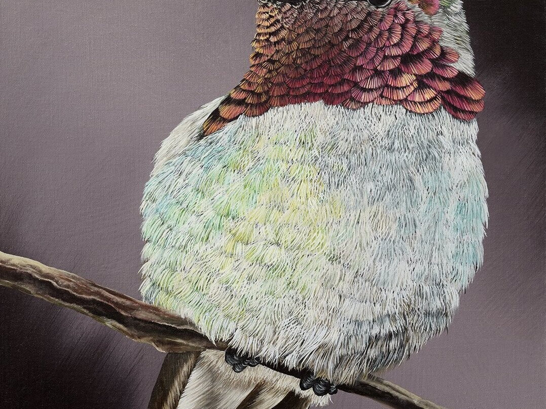 Hummingbird, Original Hummingbird Painting