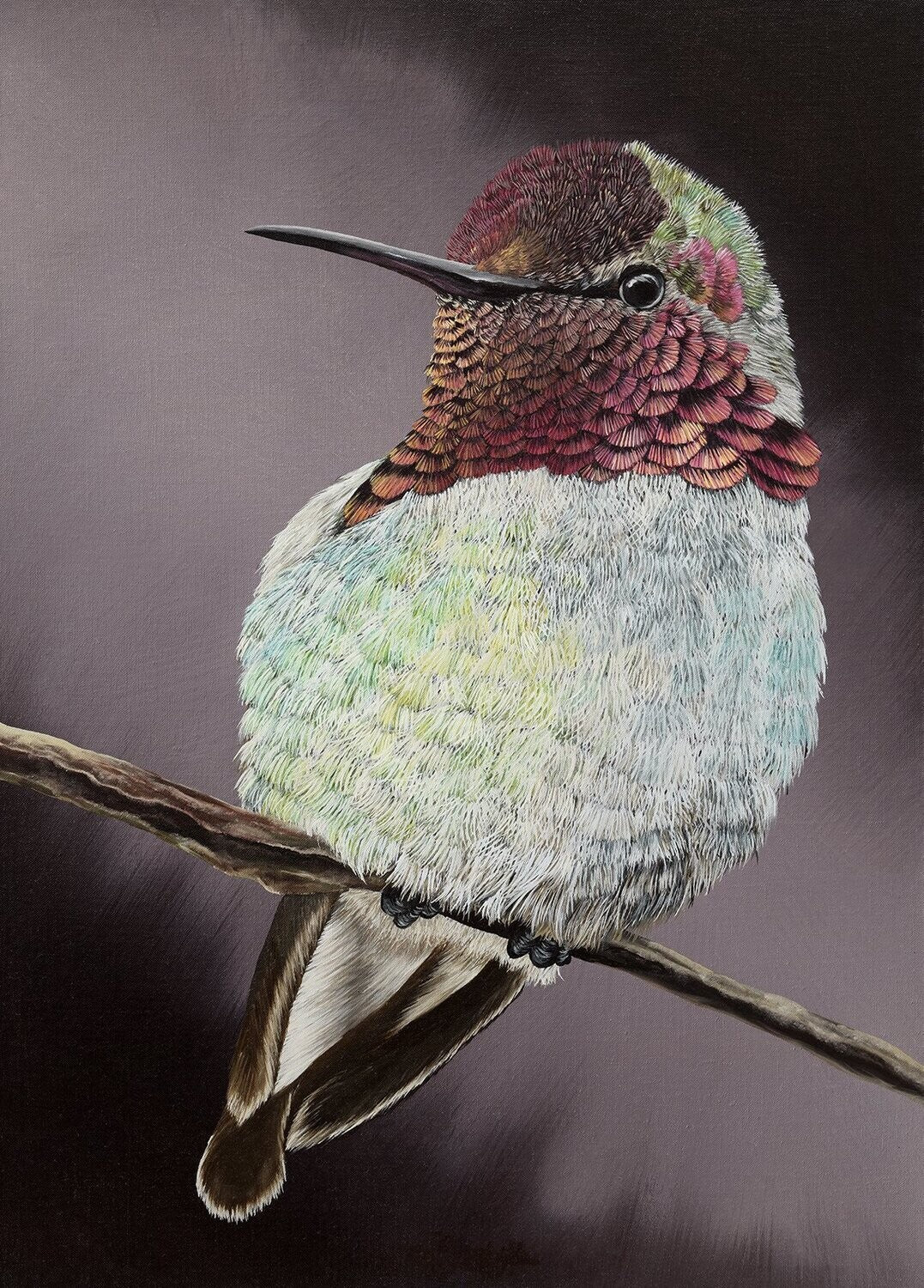 Hummingbird, Limited Edition Fine Art Print