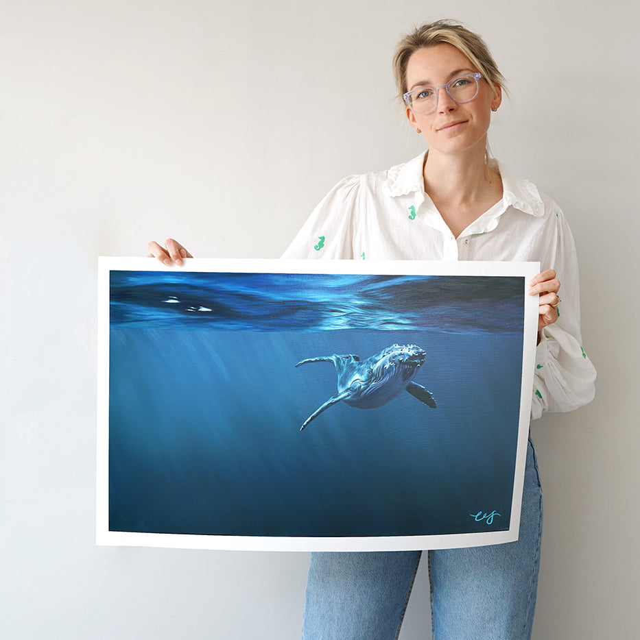 Curiosity, Limited Edition Humpback Whale Print