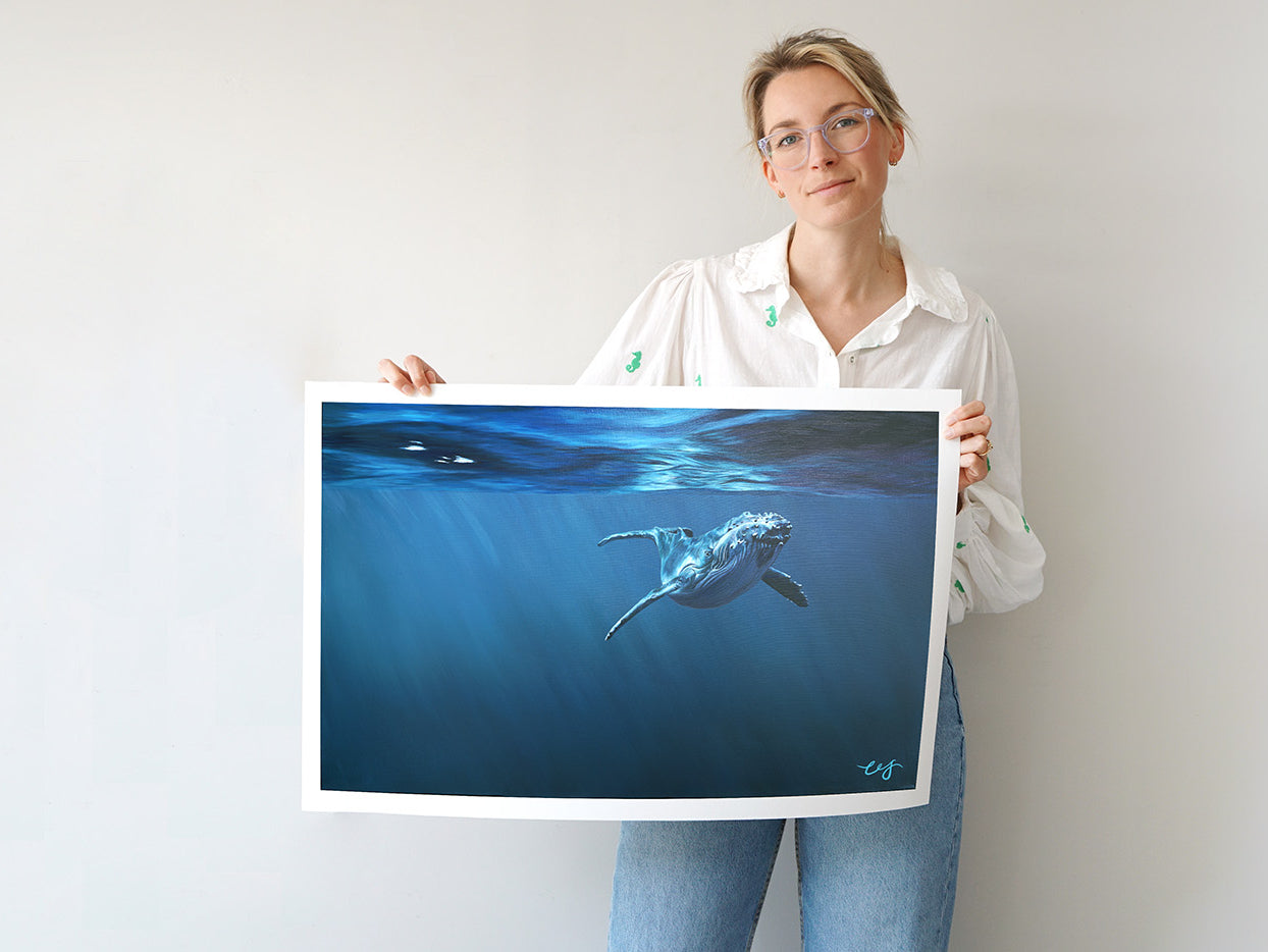 Curiosity, Limited Edition Humpback Whale Print