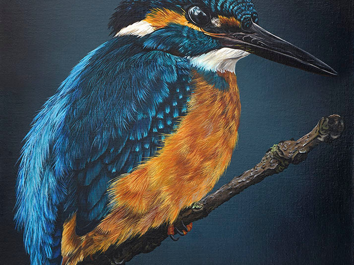 Evening Kingfisher, Original Kingfisher Oil Painting