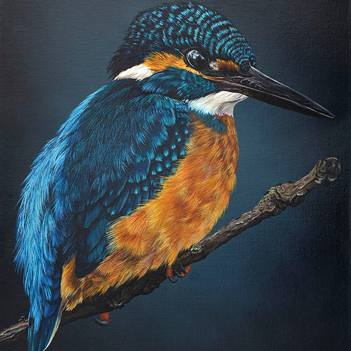 Evening Kingfisher, Original Kingfisher Oil Painting