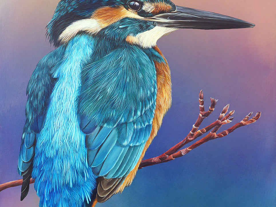 Dusk Kingfisher, Original Kingfisher Painting