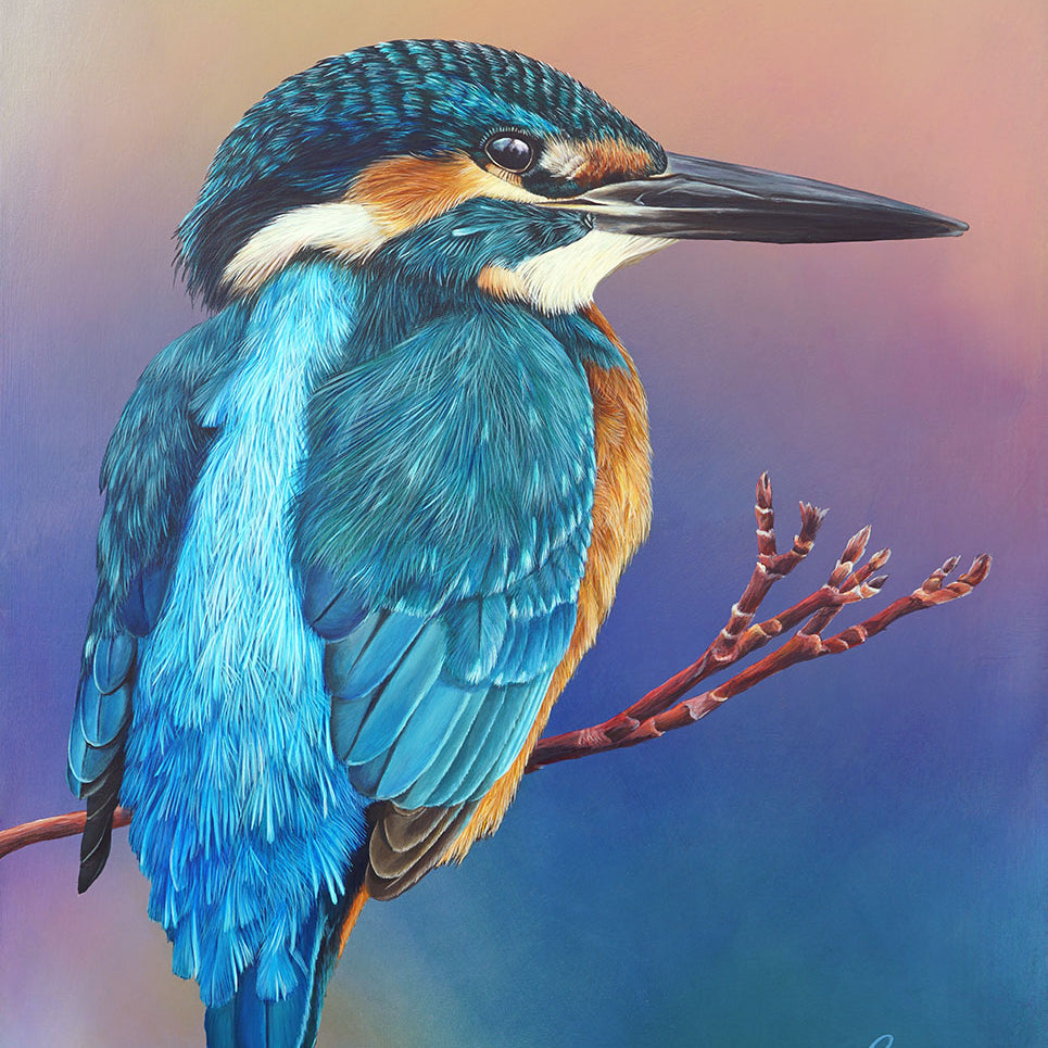 Dusk Kingfisher, Original Kingfisher Painting