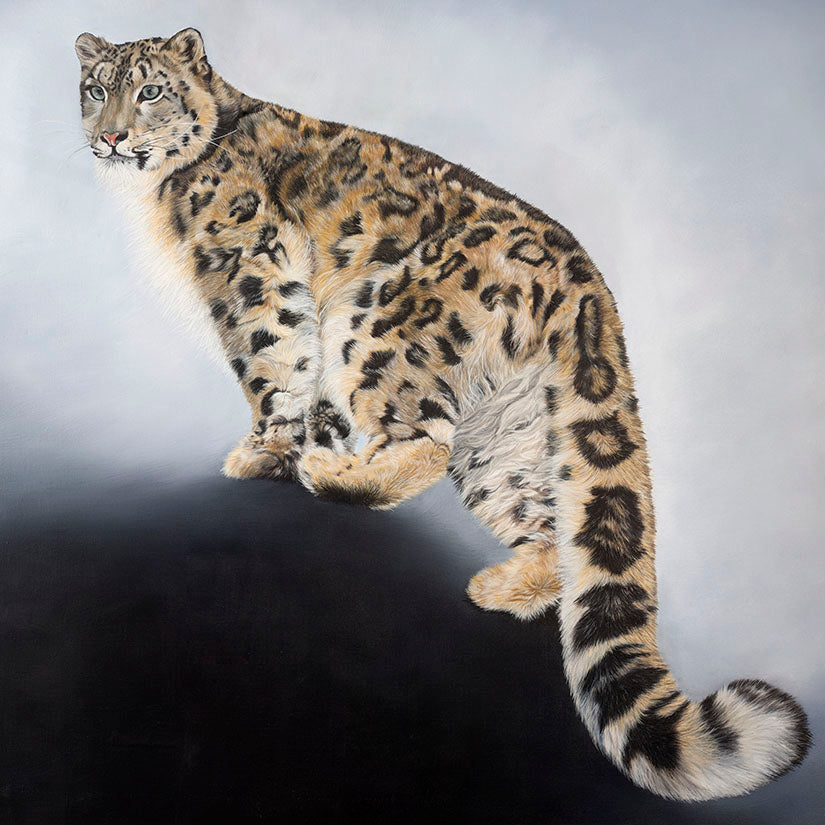 Snow Leopard, Original Snow Leopard Oil Painting