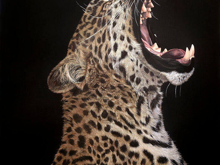 Slumber, Original Leopard Painting, Yawning Leopard