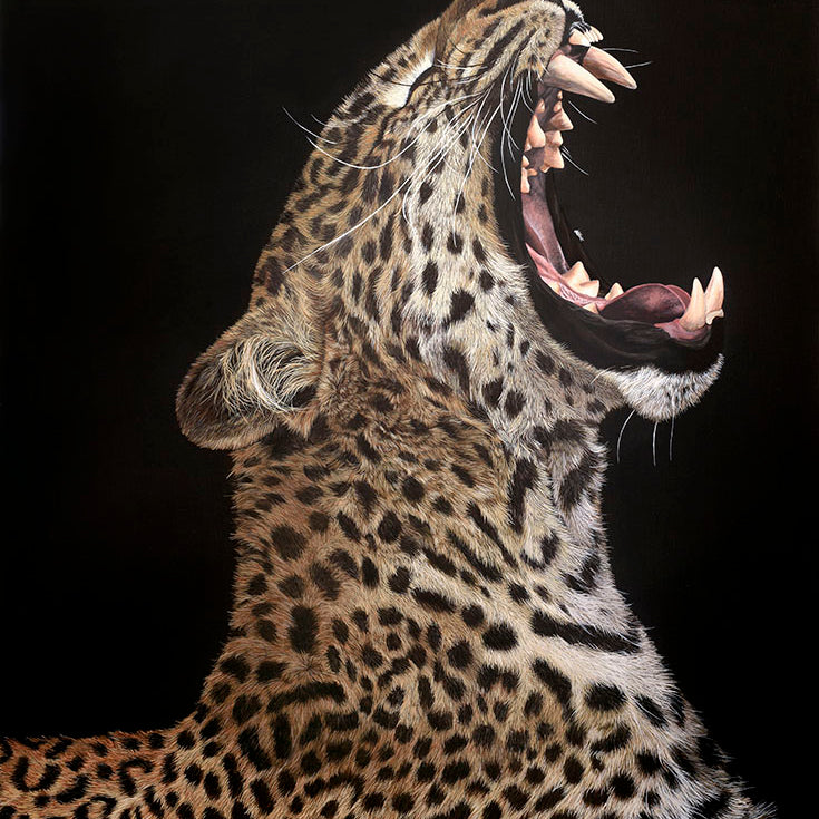 Slumber, Original Leopard Painting, Yawning Leopard