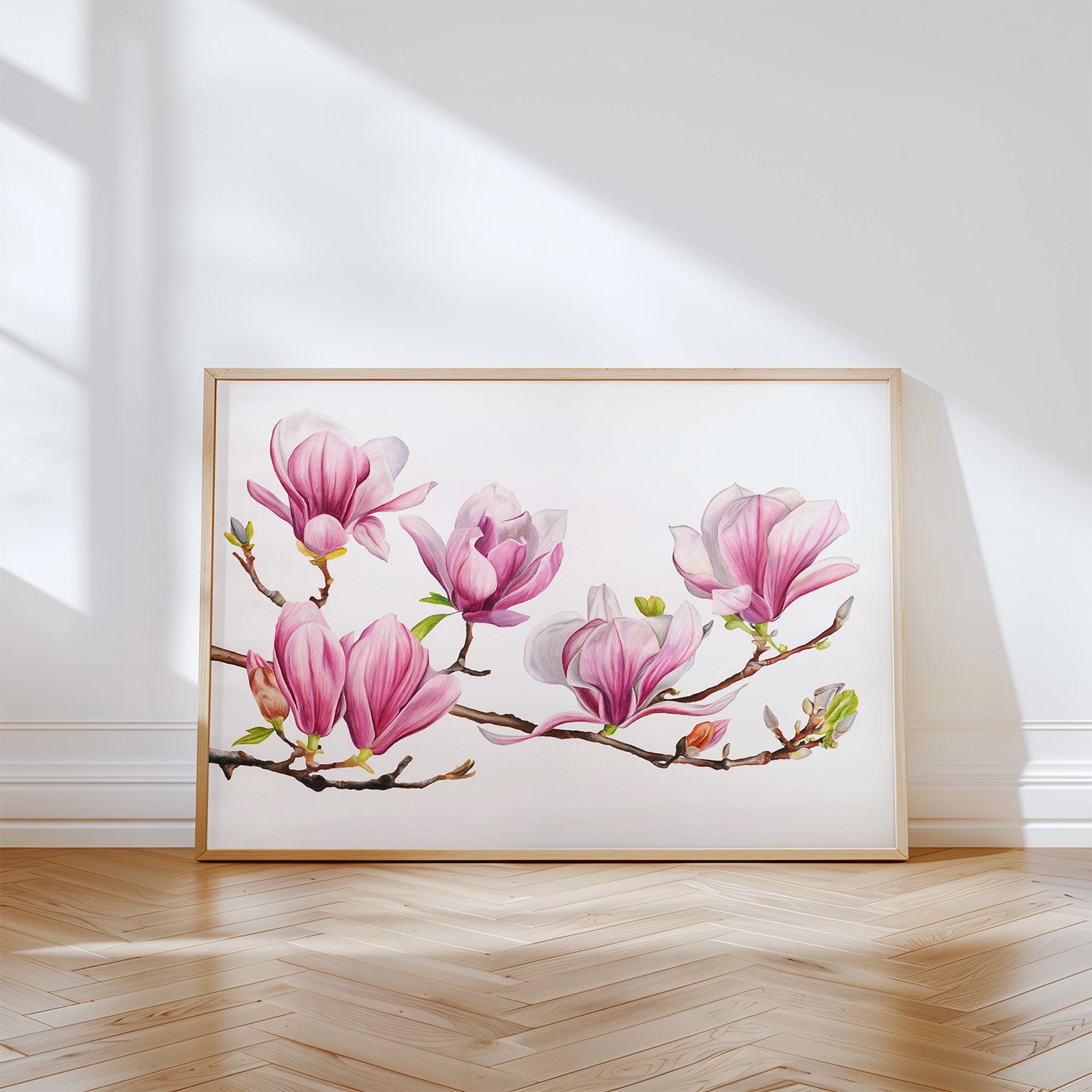 Magnolia, Limited Edition Botanical Watercolour Print