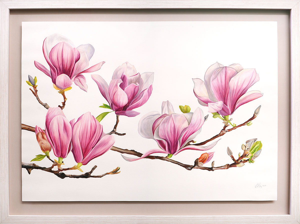 Magnolia, Original Watercolour Painting